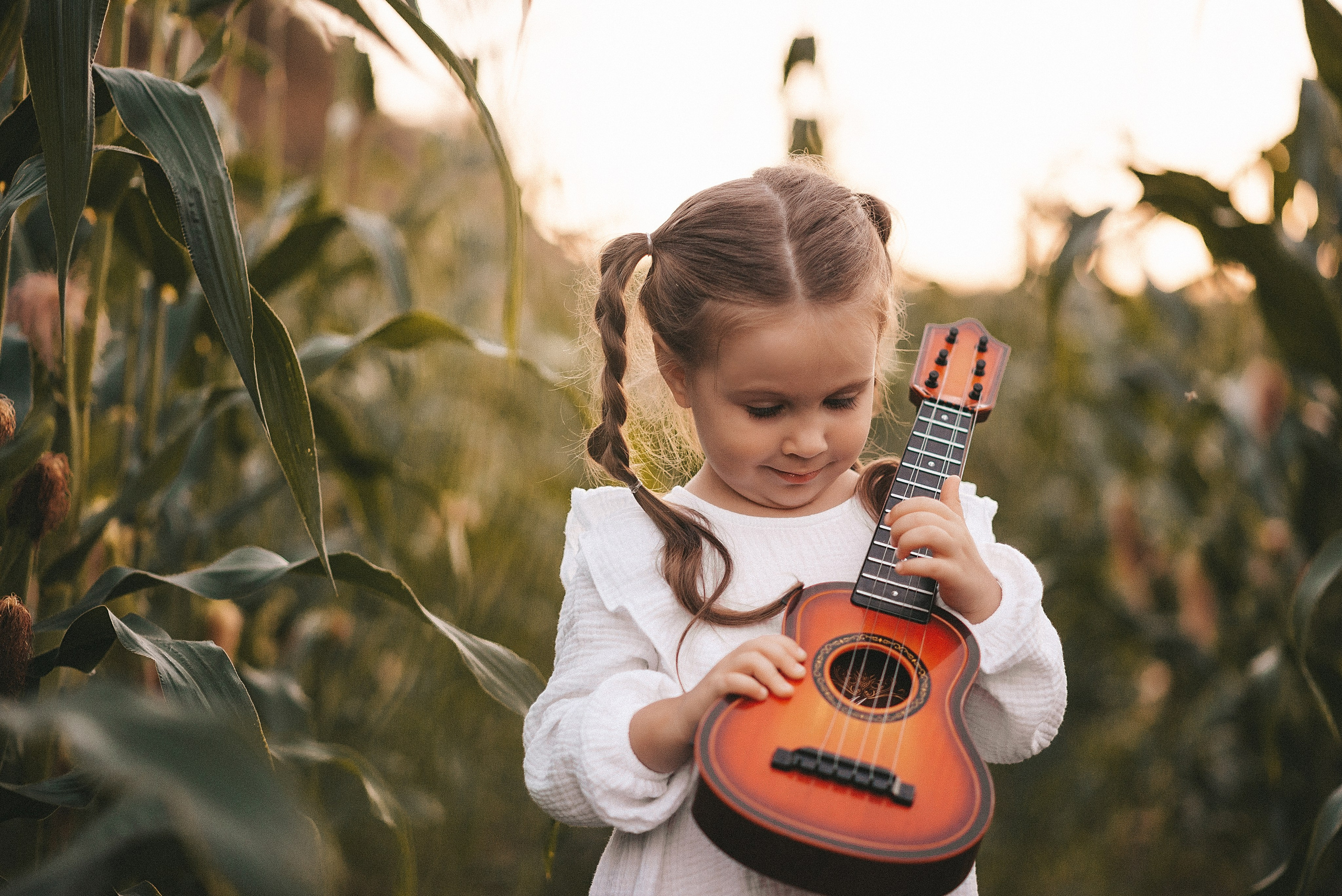 На солнце вдоль рядов кукурузы…. Ваш фотограф Ирина Гущанская