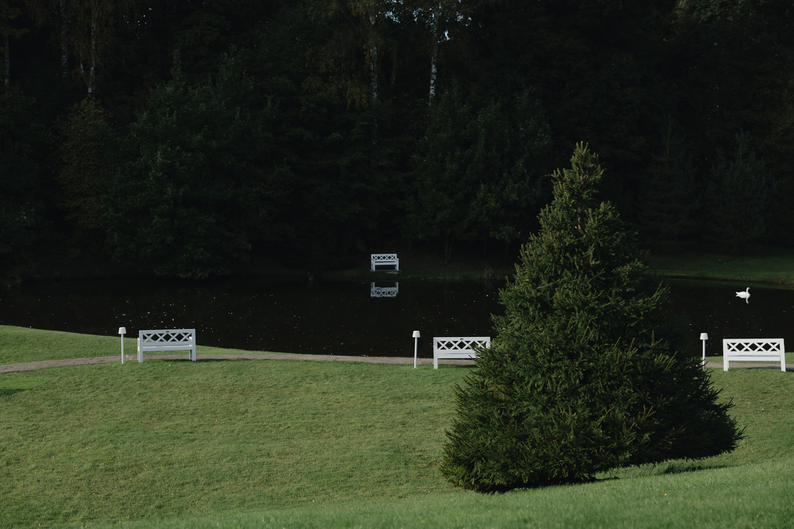 Звезды кино / 2025. Фотограф СПб