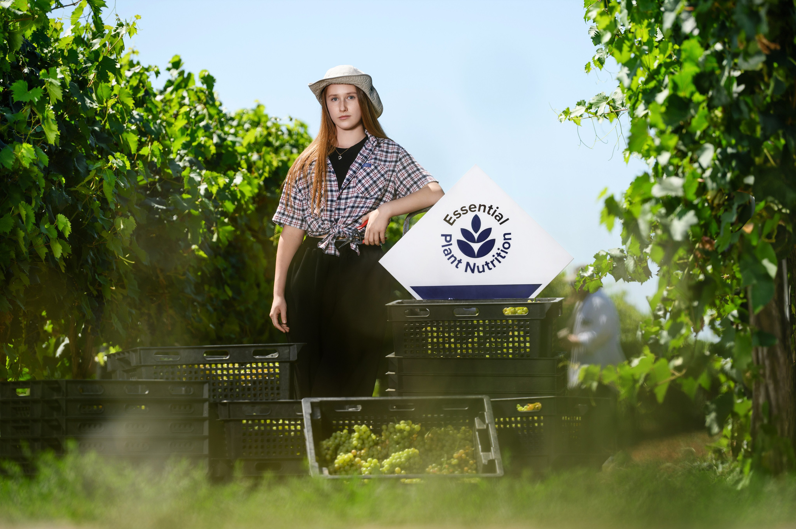 Проекты. Профессиональный фотограф Вячеслав Плацында | Липецк |