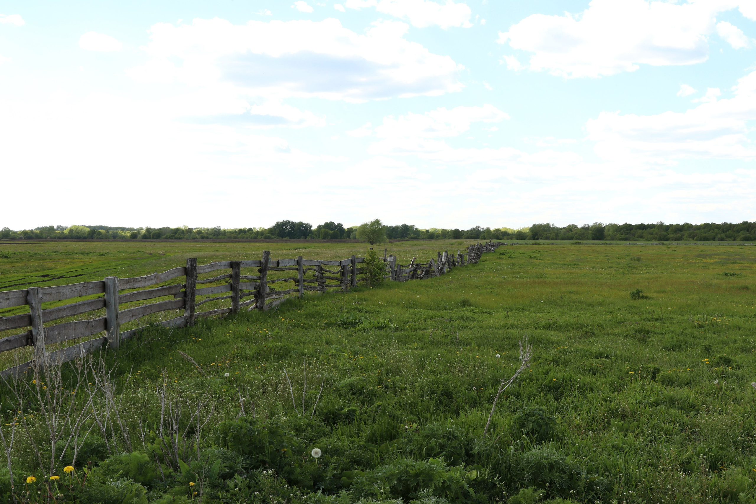 Велопоход Уфа — Мелеуз. Май 2024. Путешественник-фотограф из Санкт-Петербурга Татьяна Свистулина