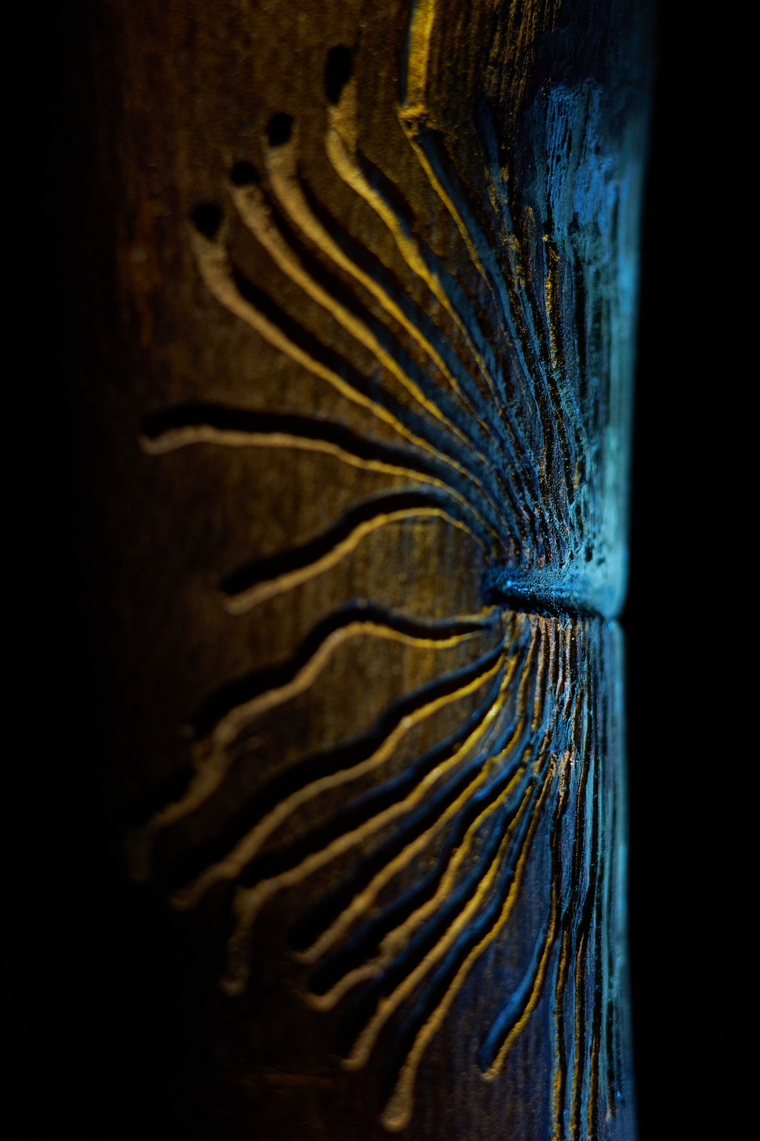 «Красок Тьма Полна». Арт-фотограф во Владивостоке Дмитрий Осипчук