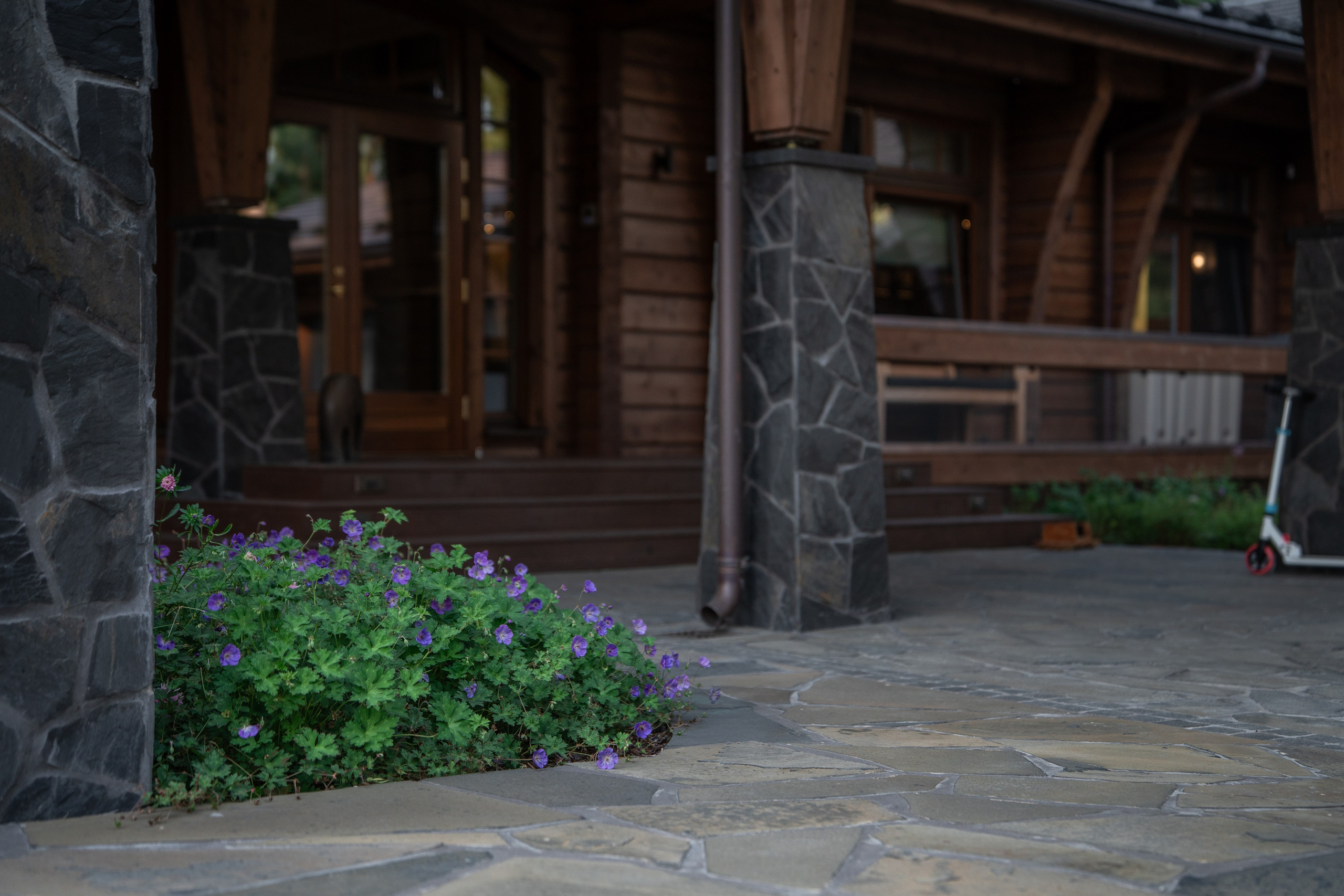 Интерьерная Съемка. Услуги фотографа СПб. Фотограф видеограф Игорь Рисар