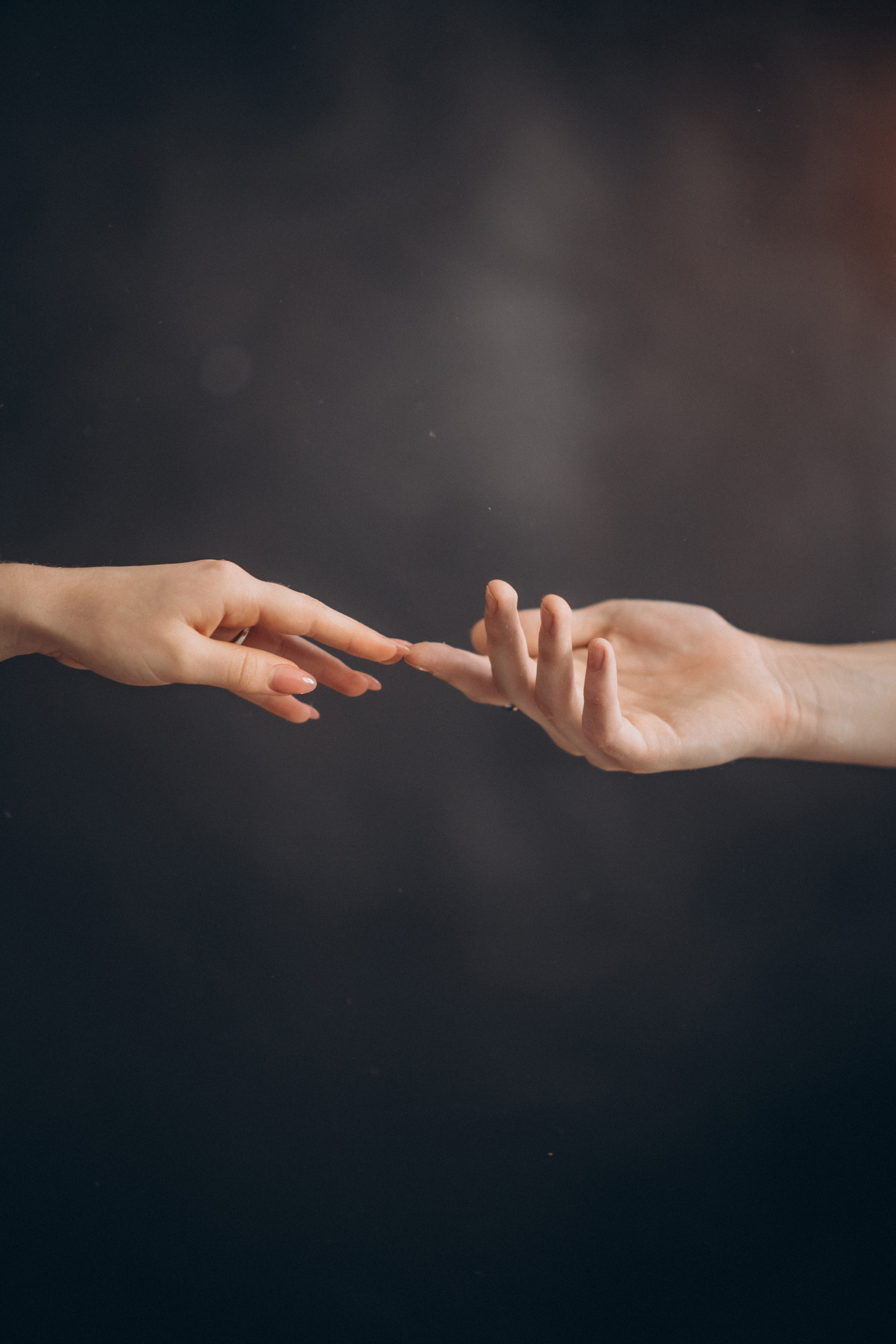 Лиза и Кирилл. МАРГАРИТА КУДРЯШОВА СВАДЕБНЫЙ И СЕМЕЙНЫЙ ФОТОГРАФ ТВЕРЬ МОСКВА