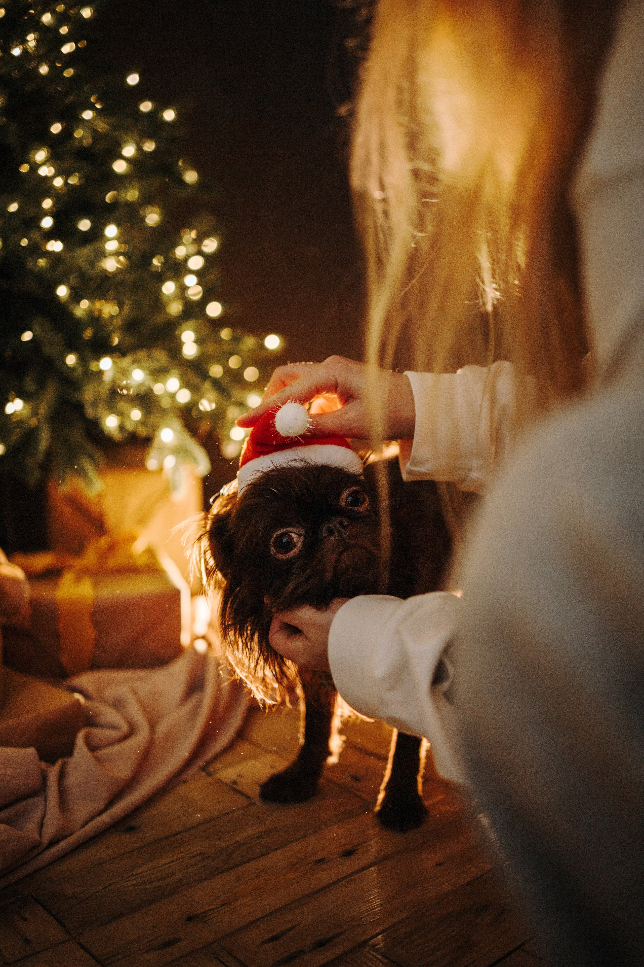 Оззи, Йоша и их люди. Семейный фотограф Питер •love-story•|Санкт-Петербург