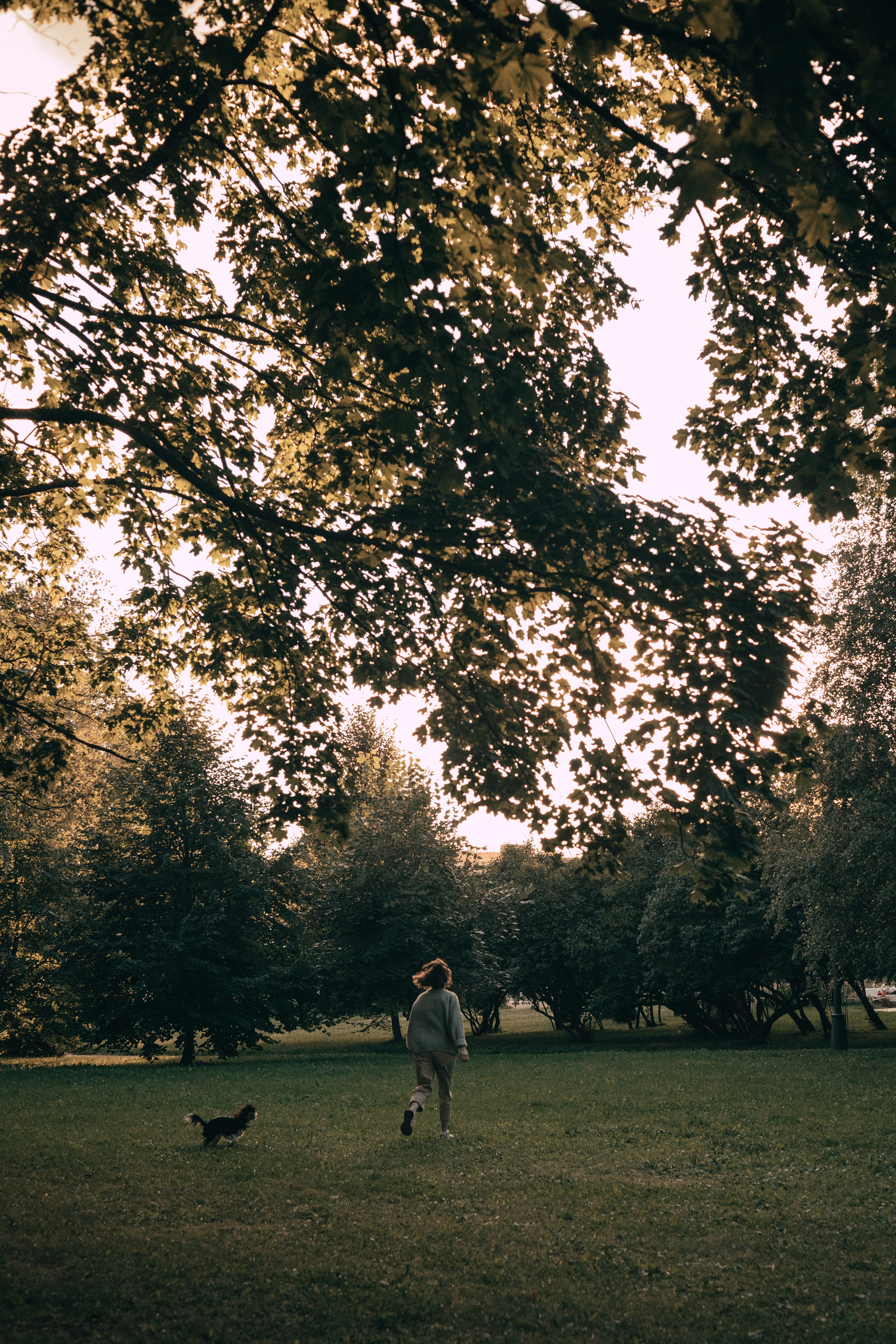 Светлана & Стеша & Настя. Фотограф — анималист •love-story•|Санкт-Петербург