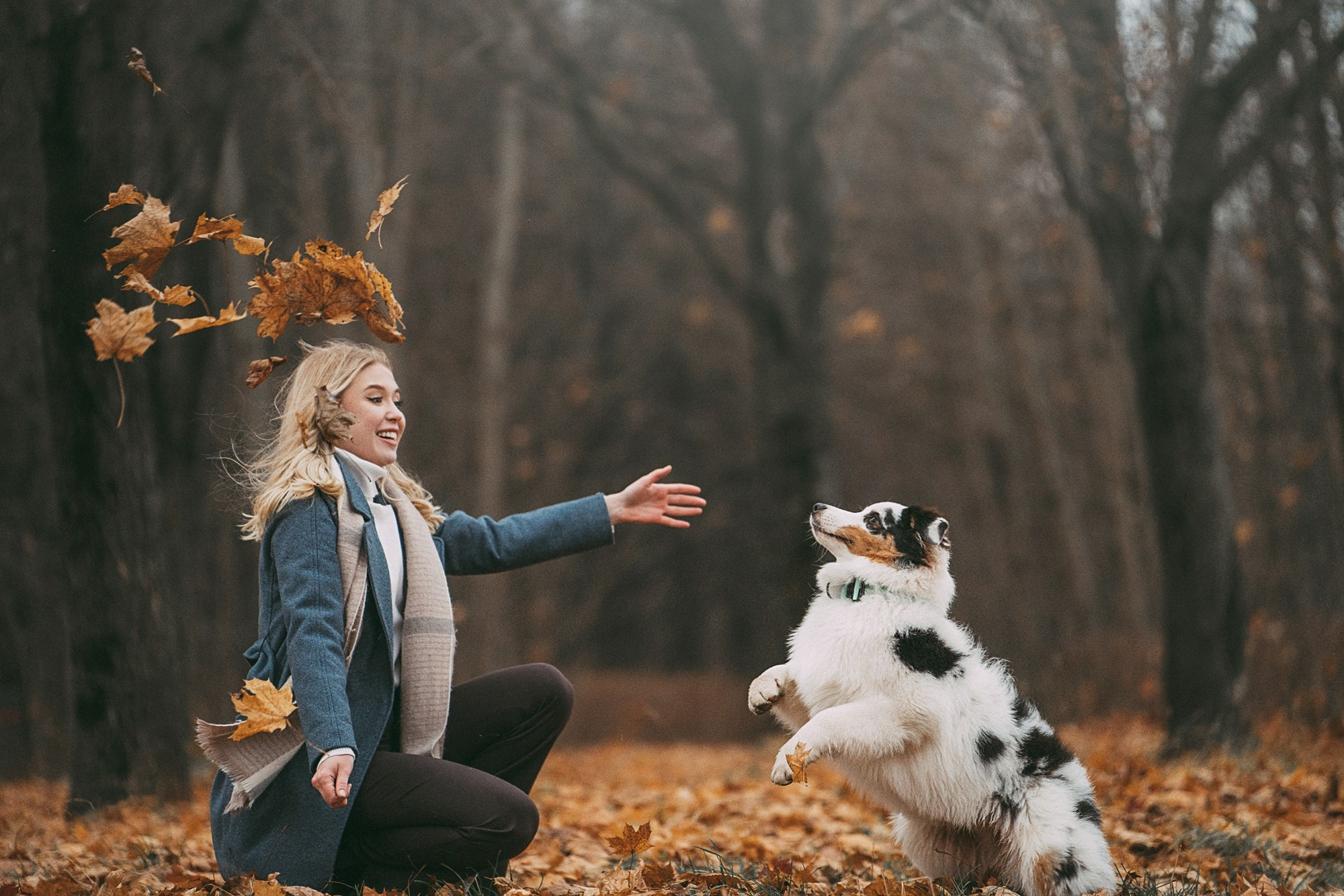 Лиза и Бублик. Фотограф анималист в Москве и Санкт-Петербурге Свиридова Анна