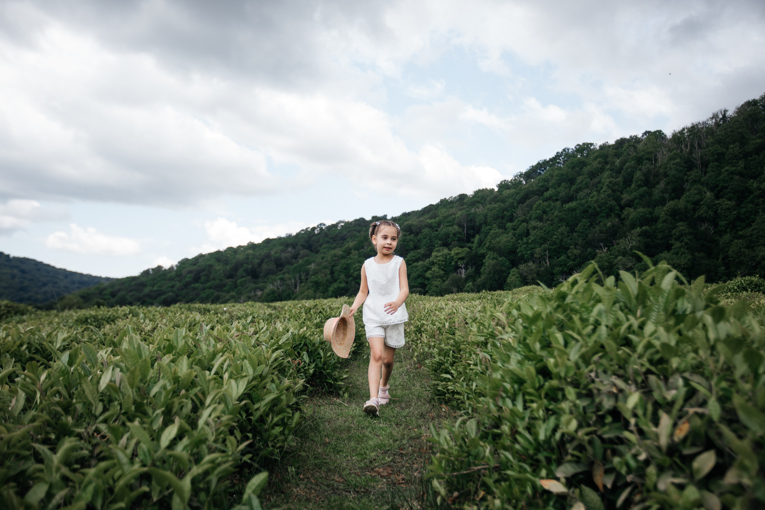 Tea plantation. Efimova Model Agency