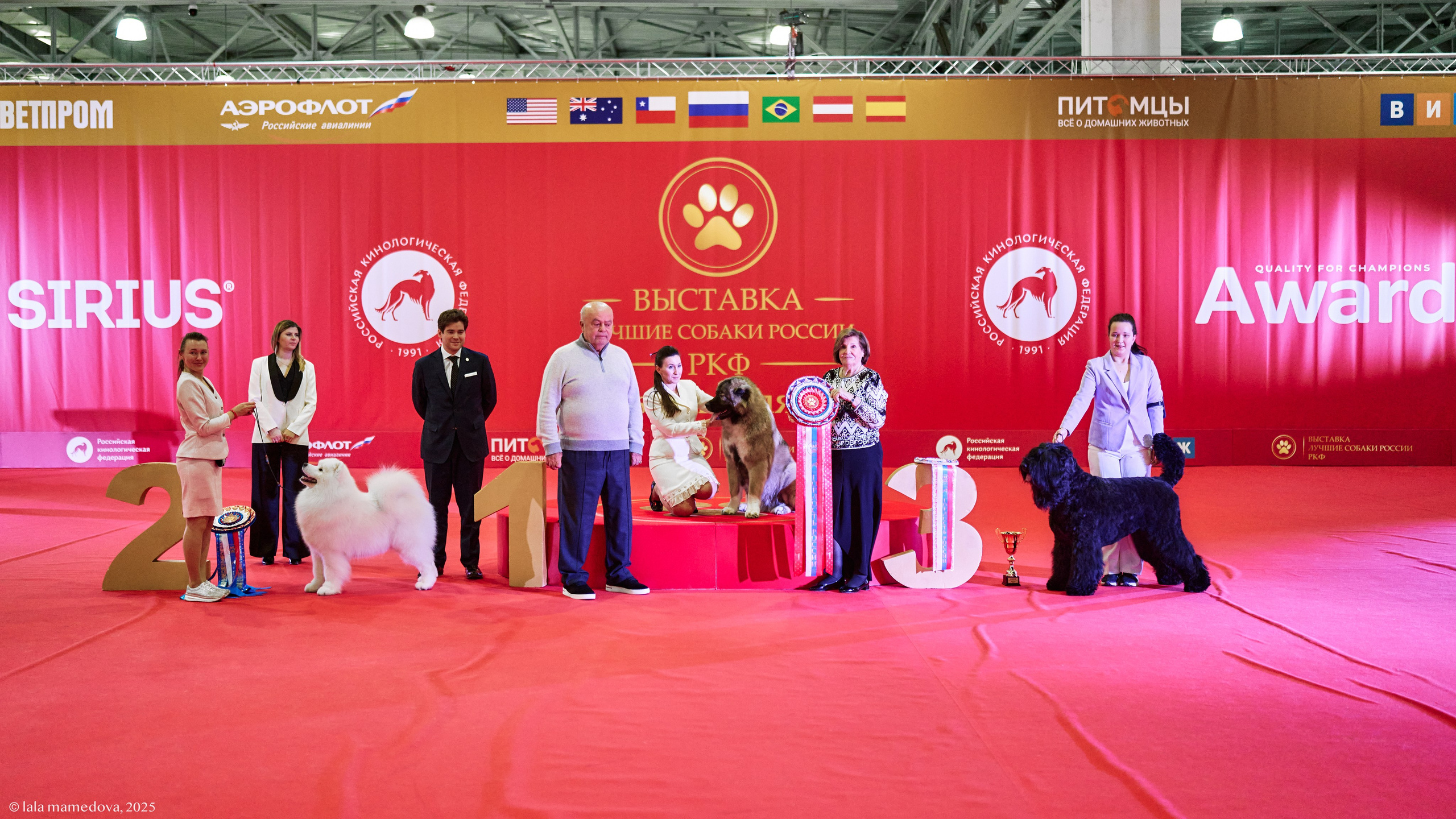 ЛУЧШИЕ СОБАКИ РОССИИ РКФ 2025
