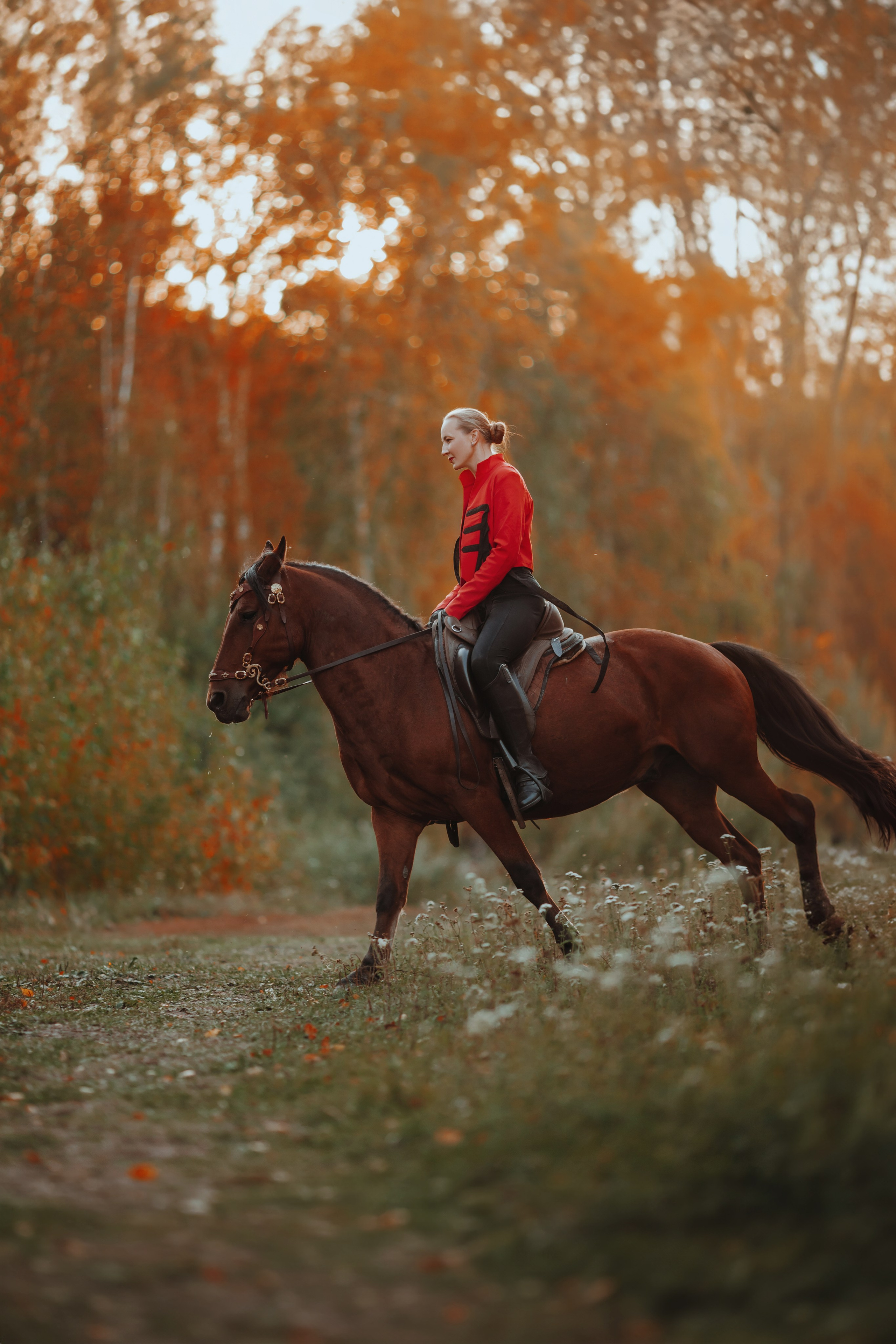 Конный стиль. Анна Молчанова конный фотограф в Тюмени | фотосессии с лошадьми Тюмень