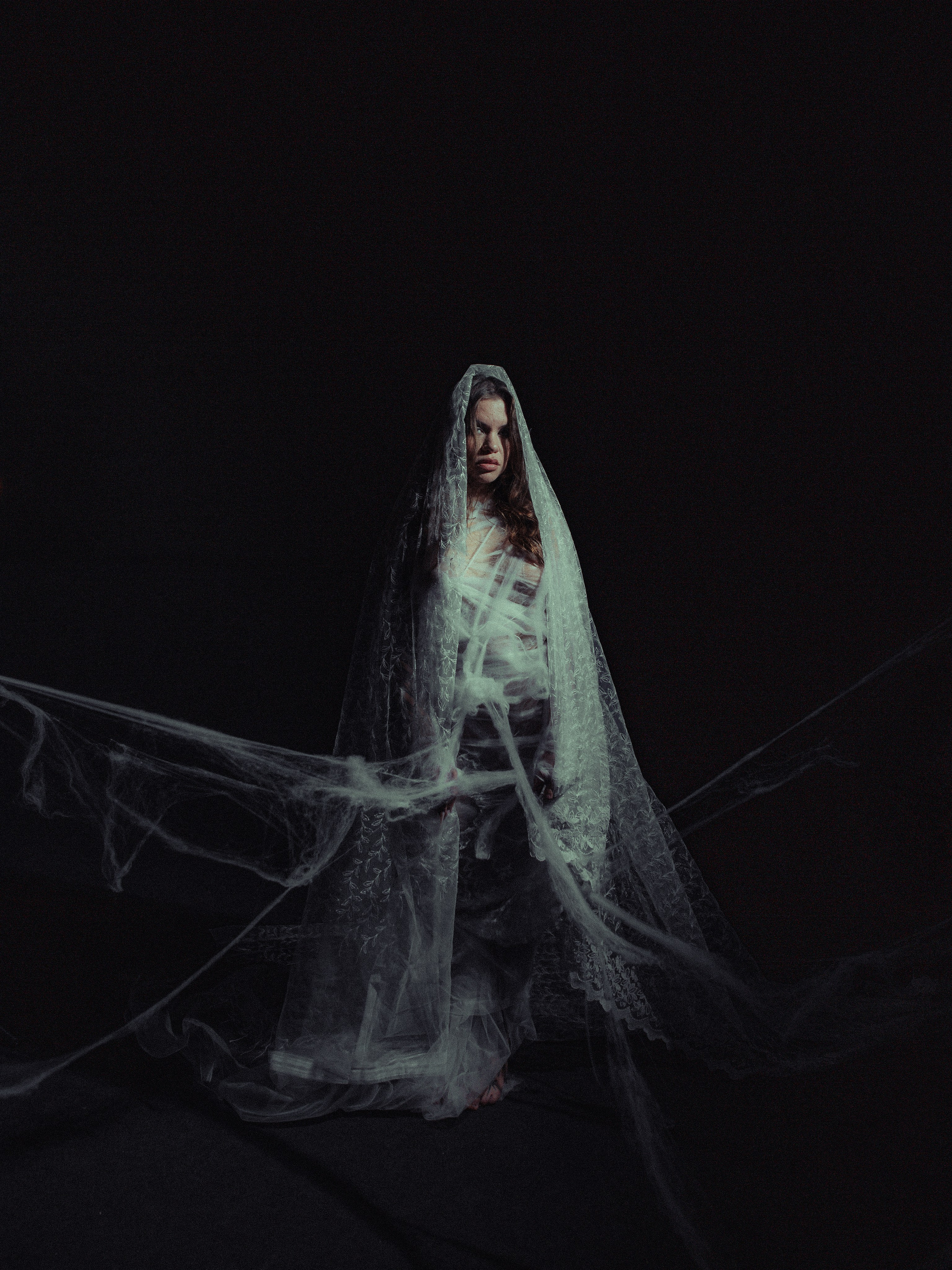 Diibae spider. Фотограф из Санкт-Петербурга Валерия Ленских