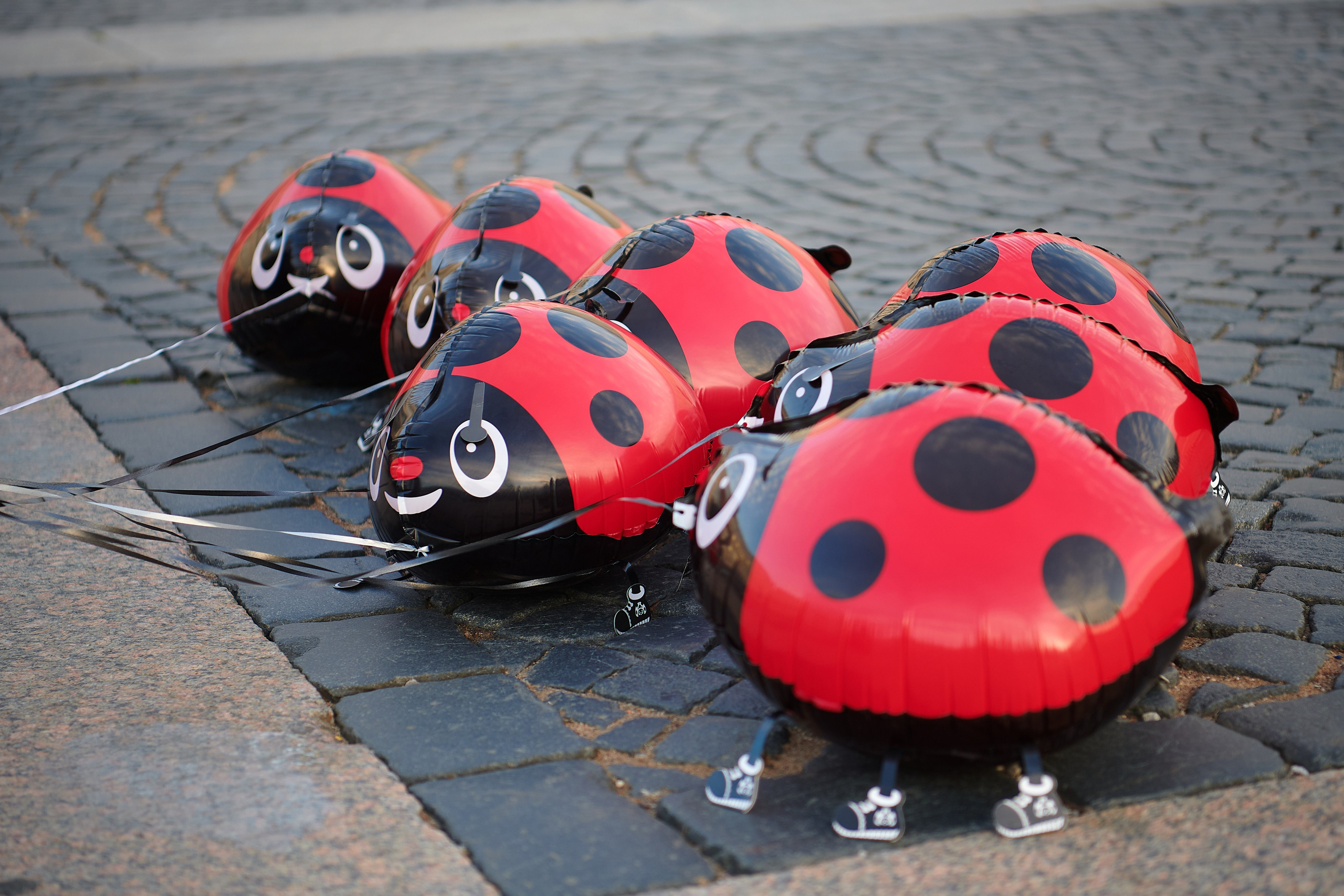 Прогулка по Петербургу. Ольга Чёкотова (Фотограф Кострома)