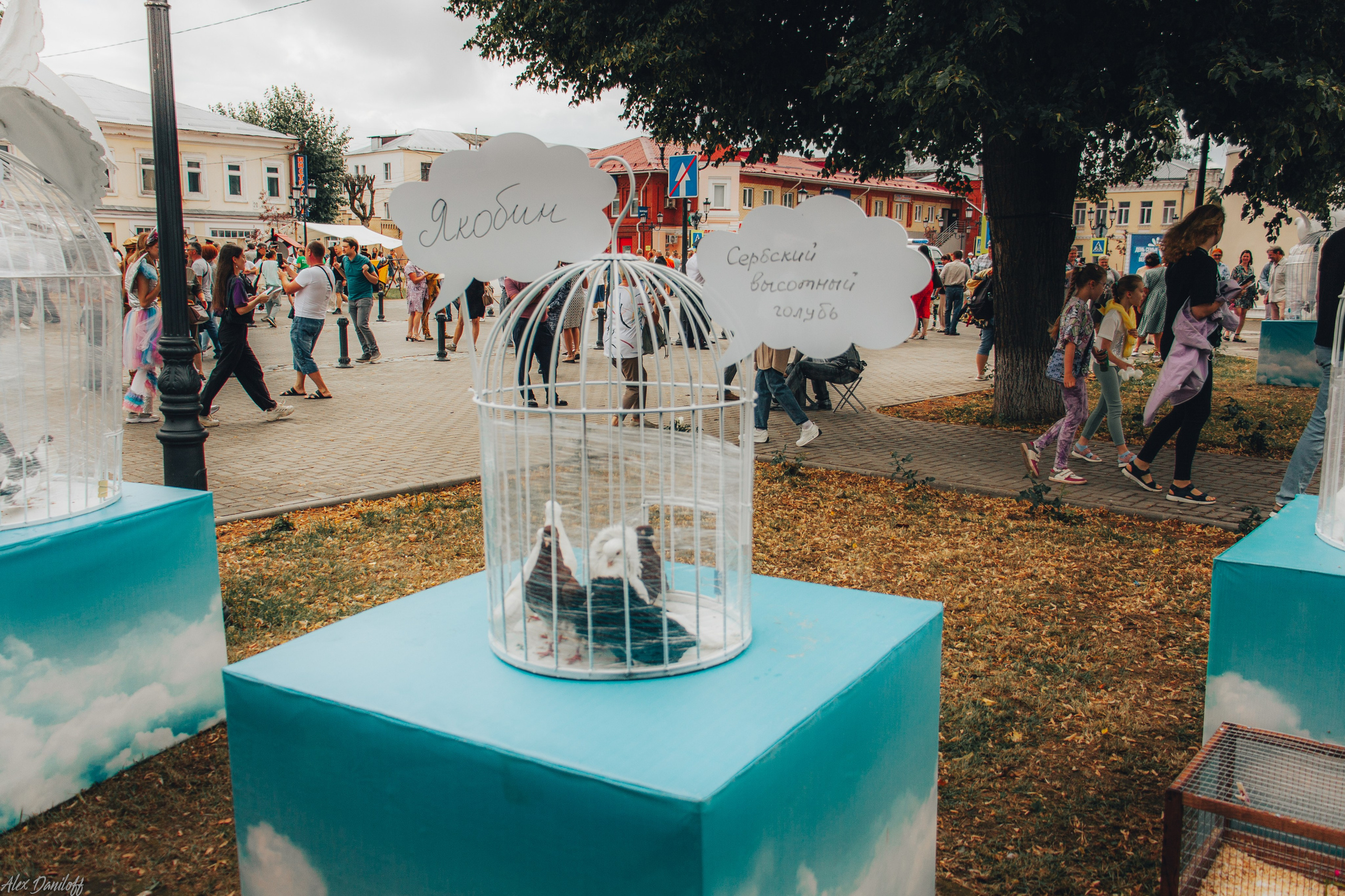 День семьи, любви и верности 2024. Муром-Инфо. Новости культуры, образования, спорта в городе Муром