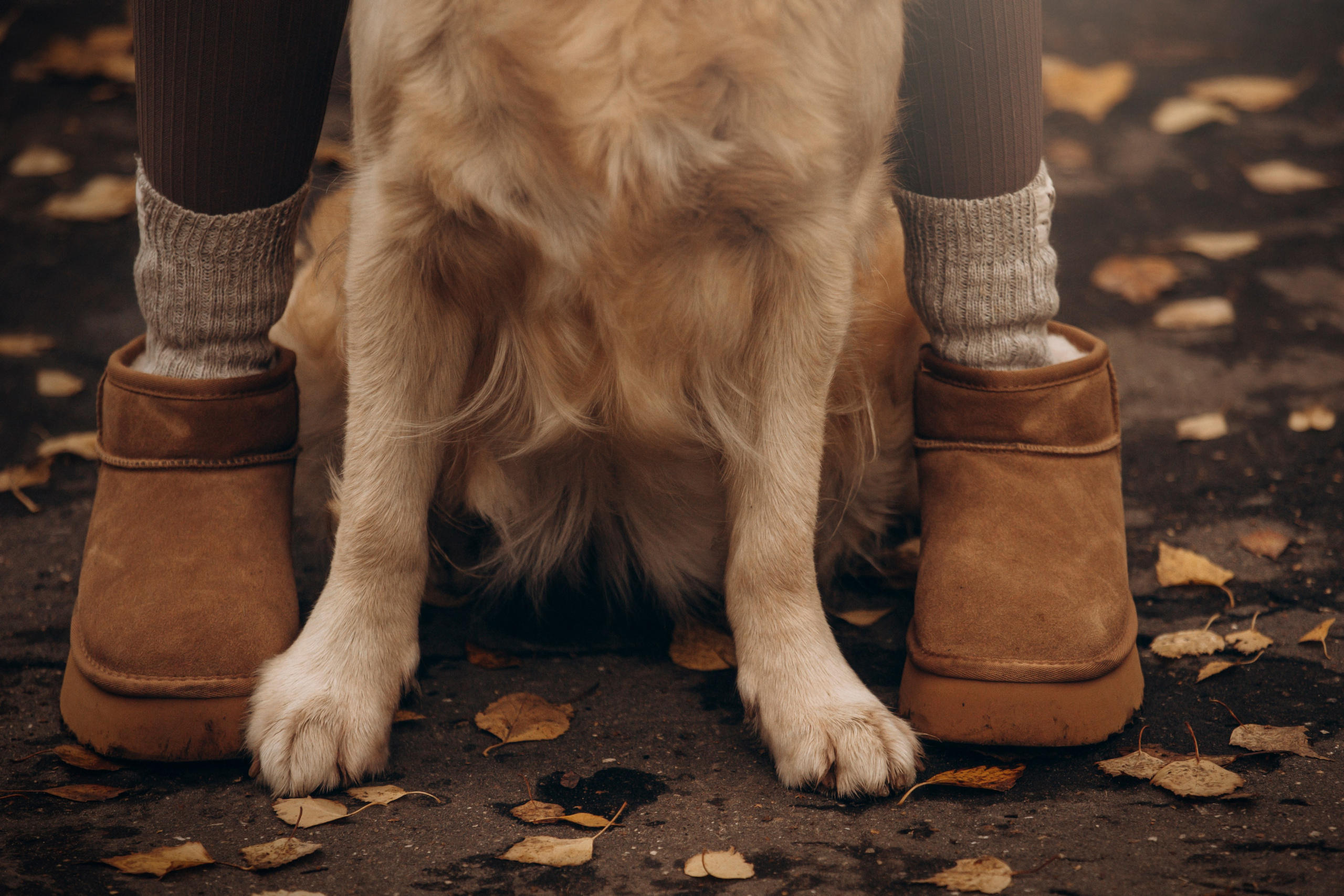 Марина и Чили. Фотограф — Анималист | Санкт-Петербург
