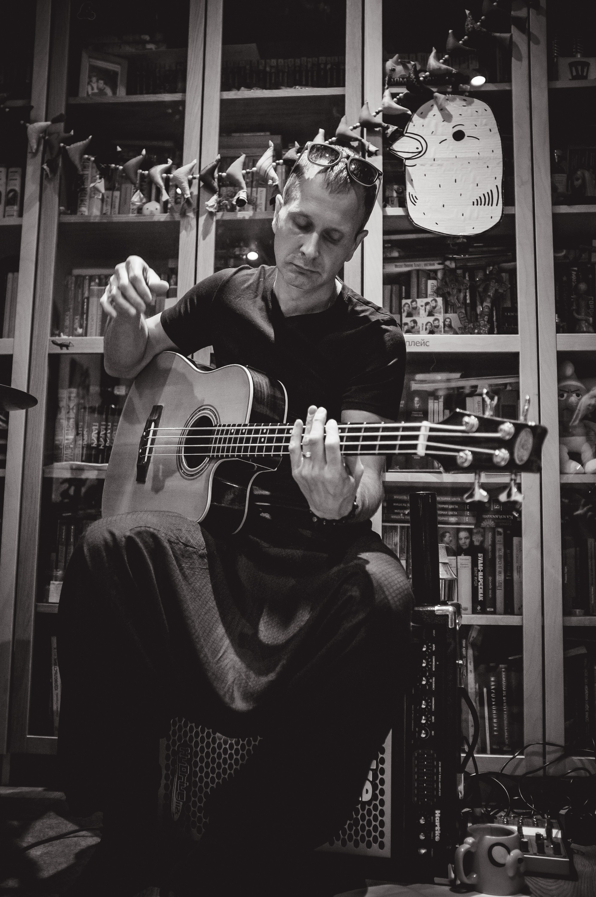 Домашний концерт