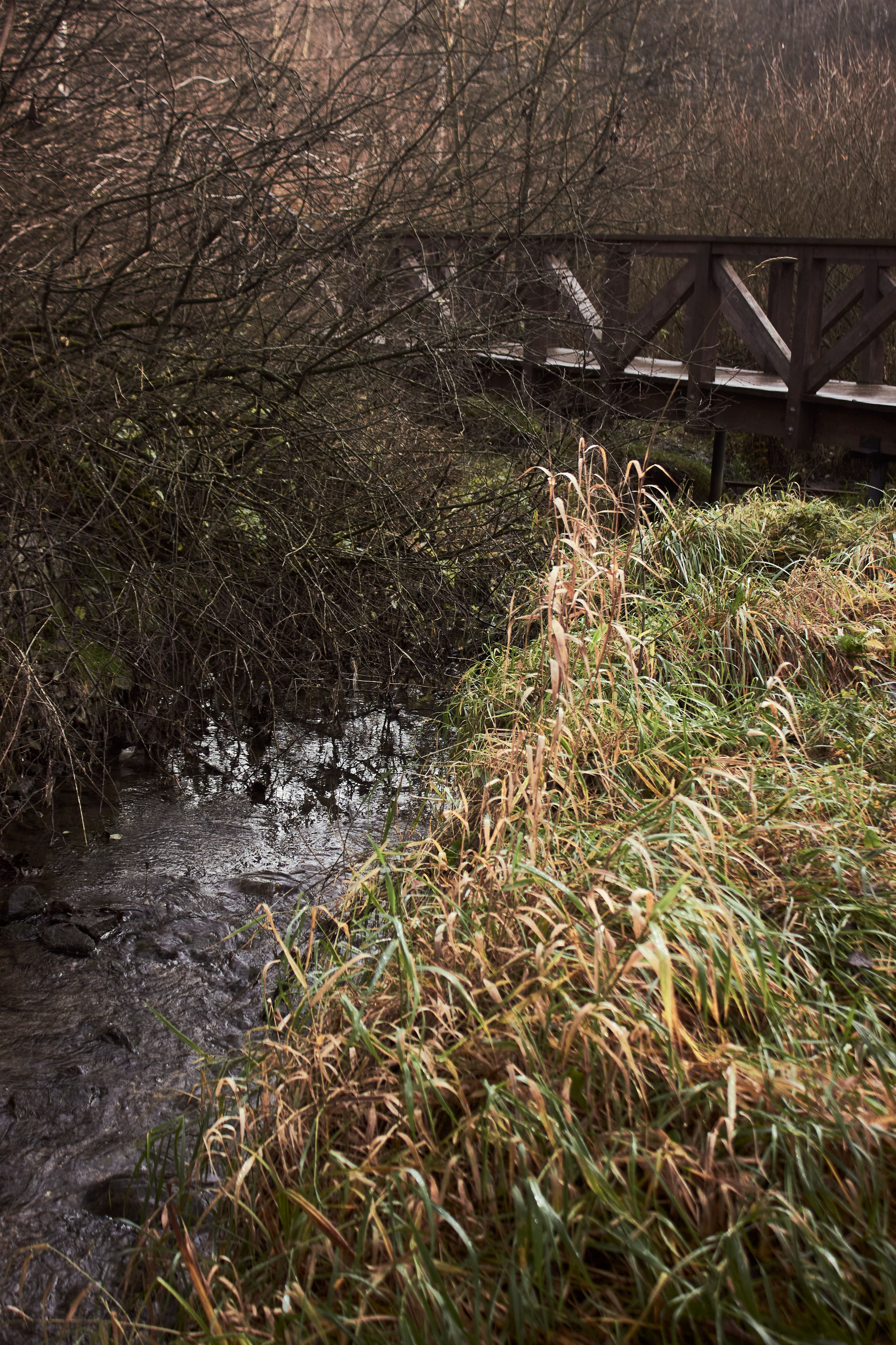 Ноябрьский призрак. Портретный фотограф из Москвы Комбар Елизавета