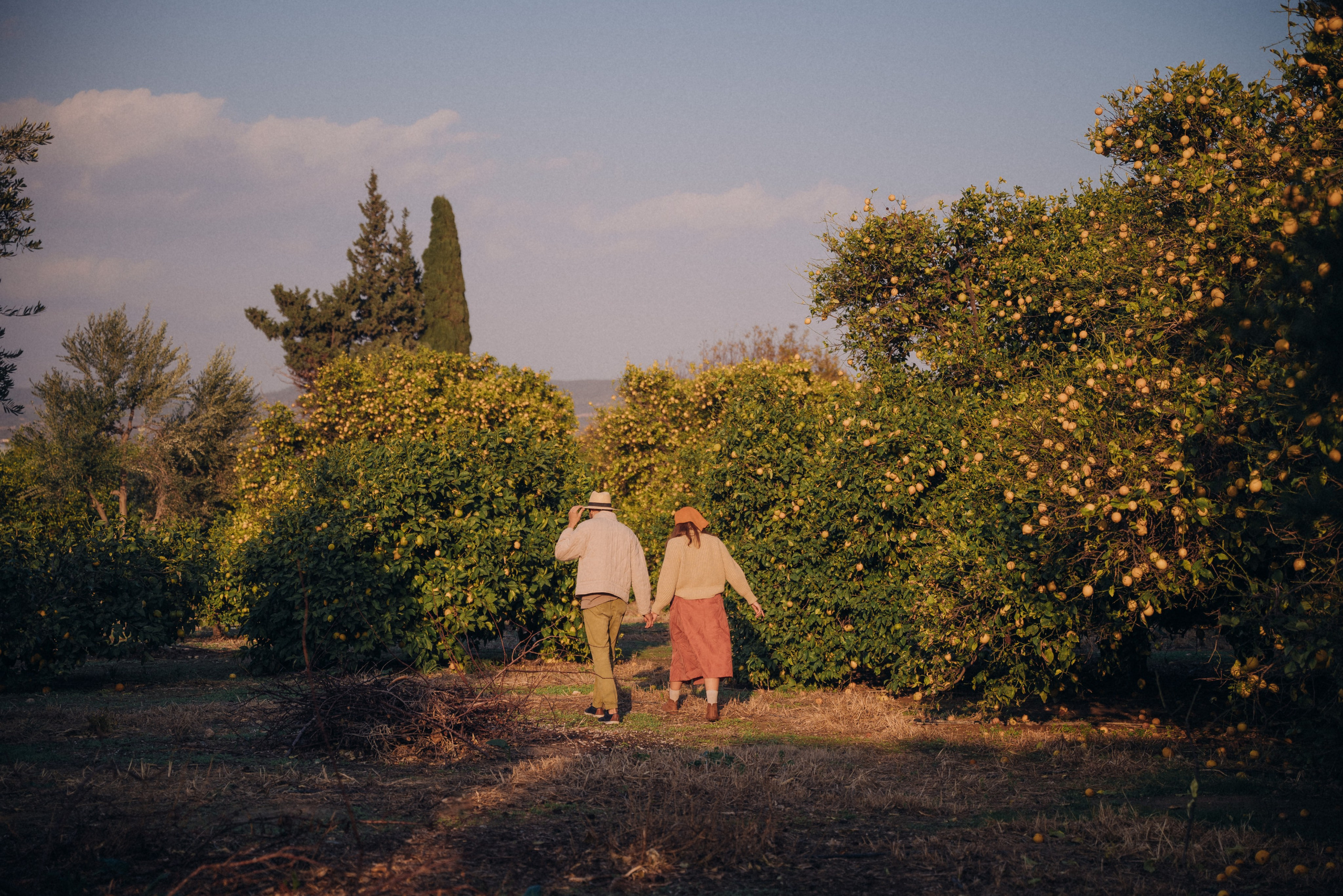 Сбор урожая. Анна Лобанова | фотограф