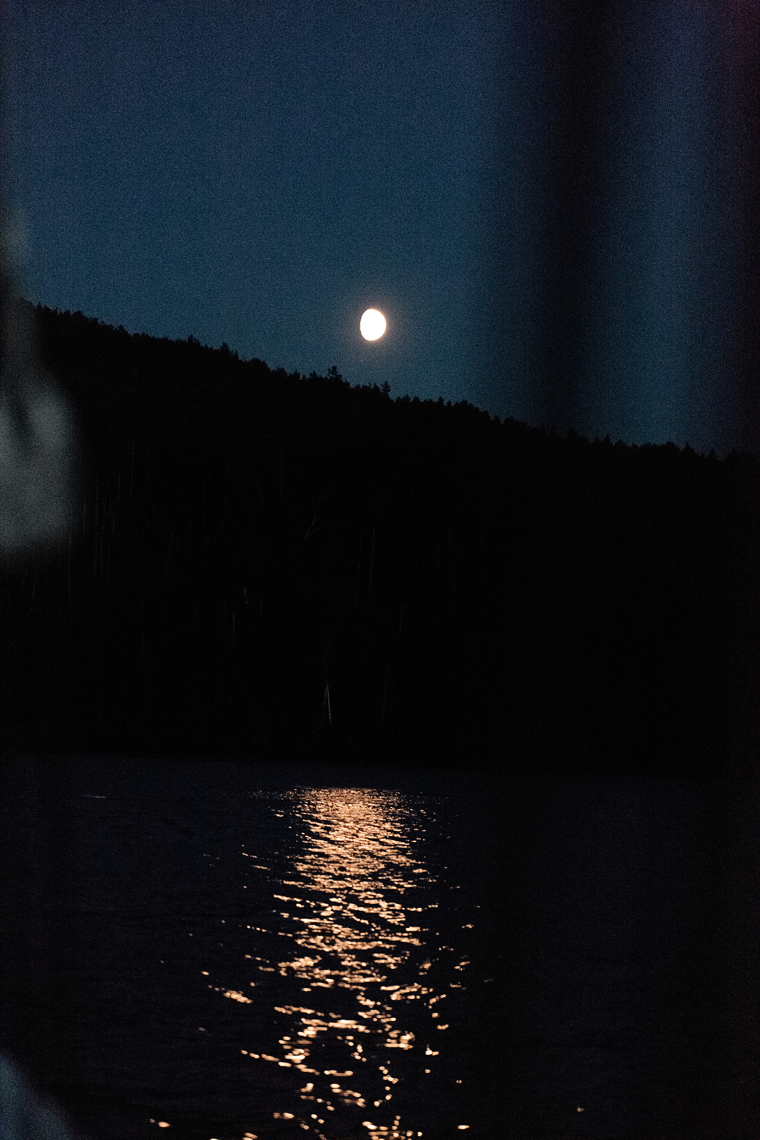 Дарья и Денис. Фотограф Подсумкина Ирина