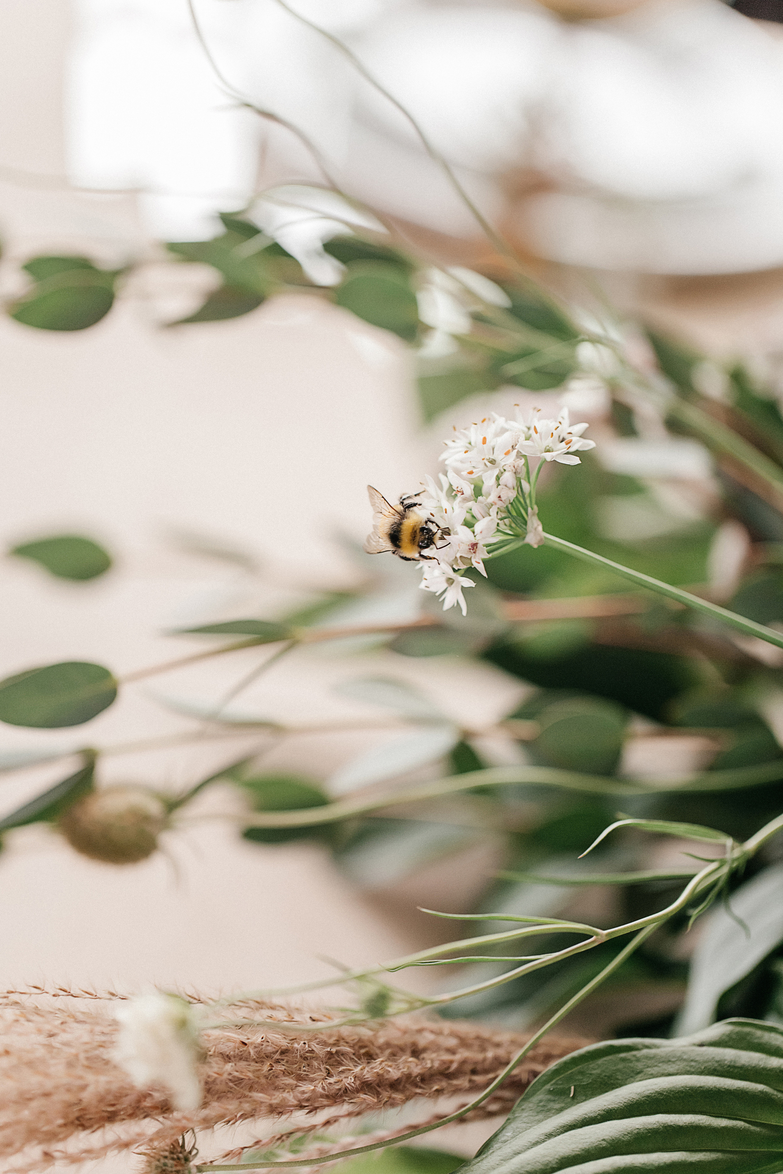 Дарья и Пётр. Фотограф Подсумкина Ирина