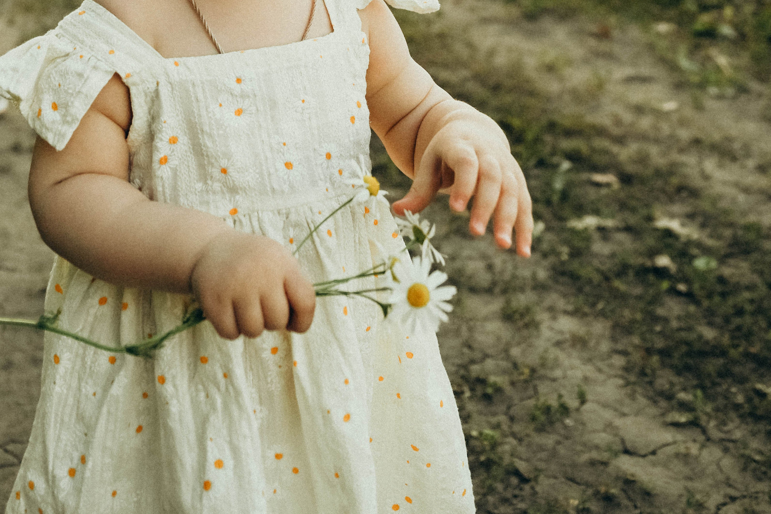 Ромашковое поле. Семейный фотограф в Москве Люберцах Ирина Вронская
