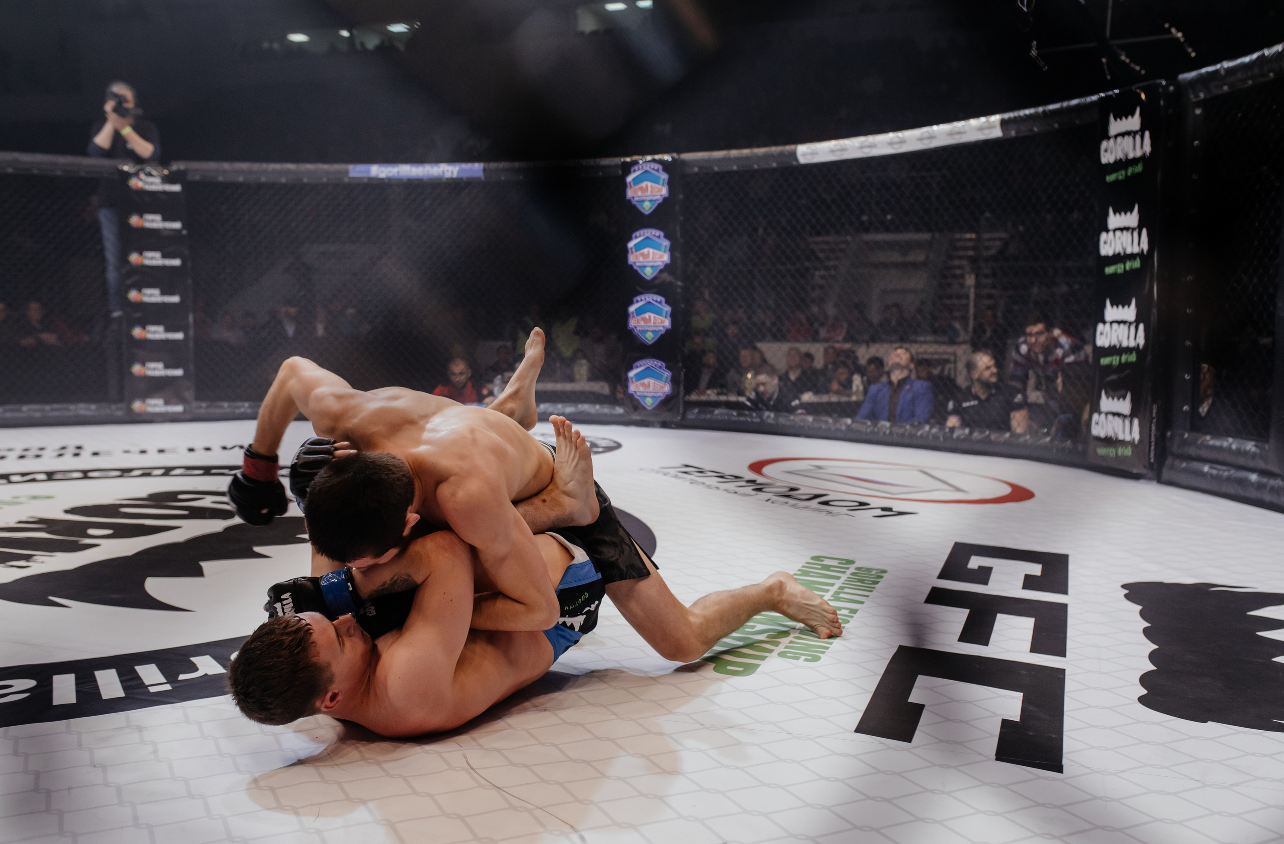 Gorilla Fighting Penza. Репортажный, event, концертный и backstage фотограф из Москвы Виталий Кривцов