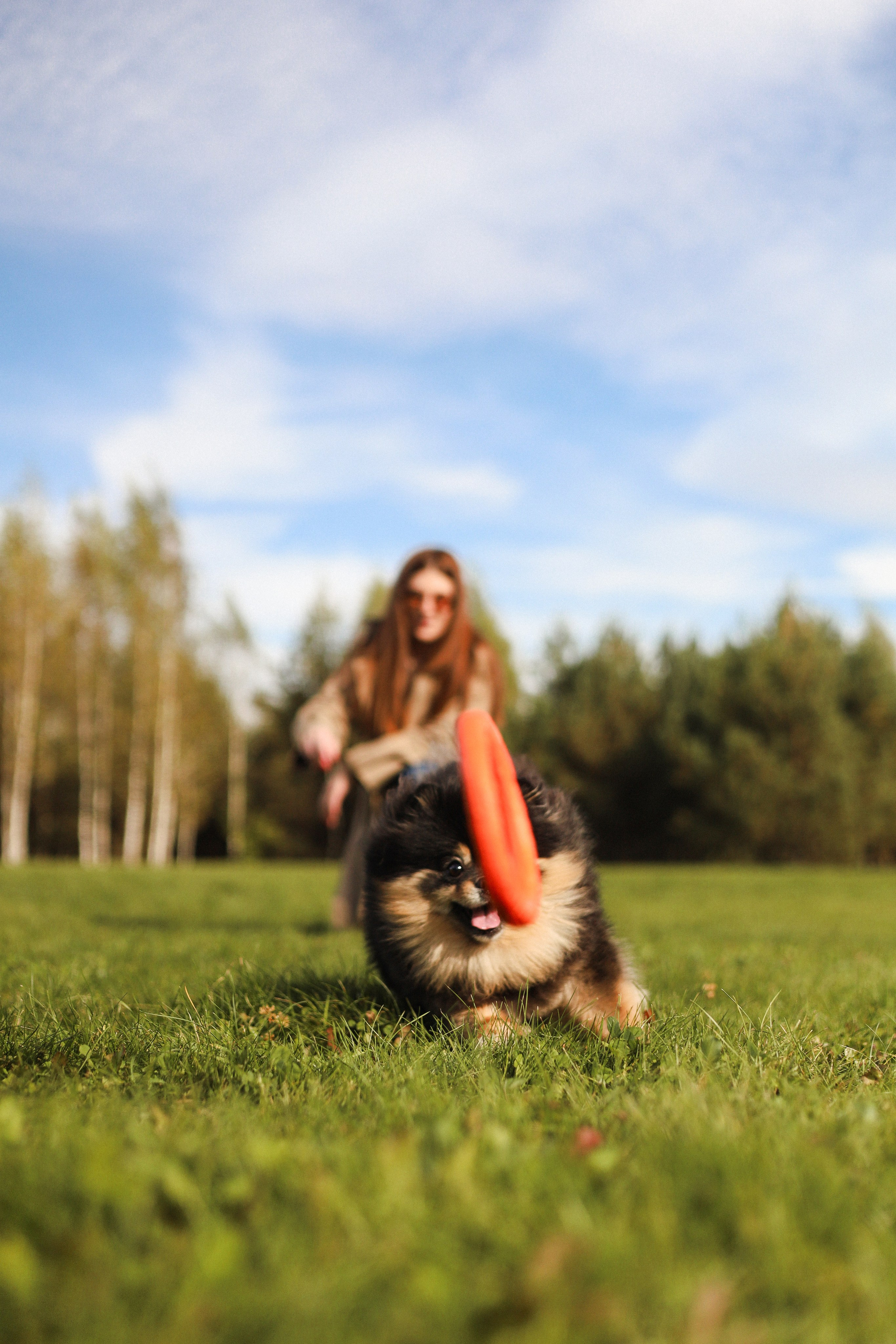Арчи и Анастасия. Фотограф-анималист Ксения Шевцова|Москва