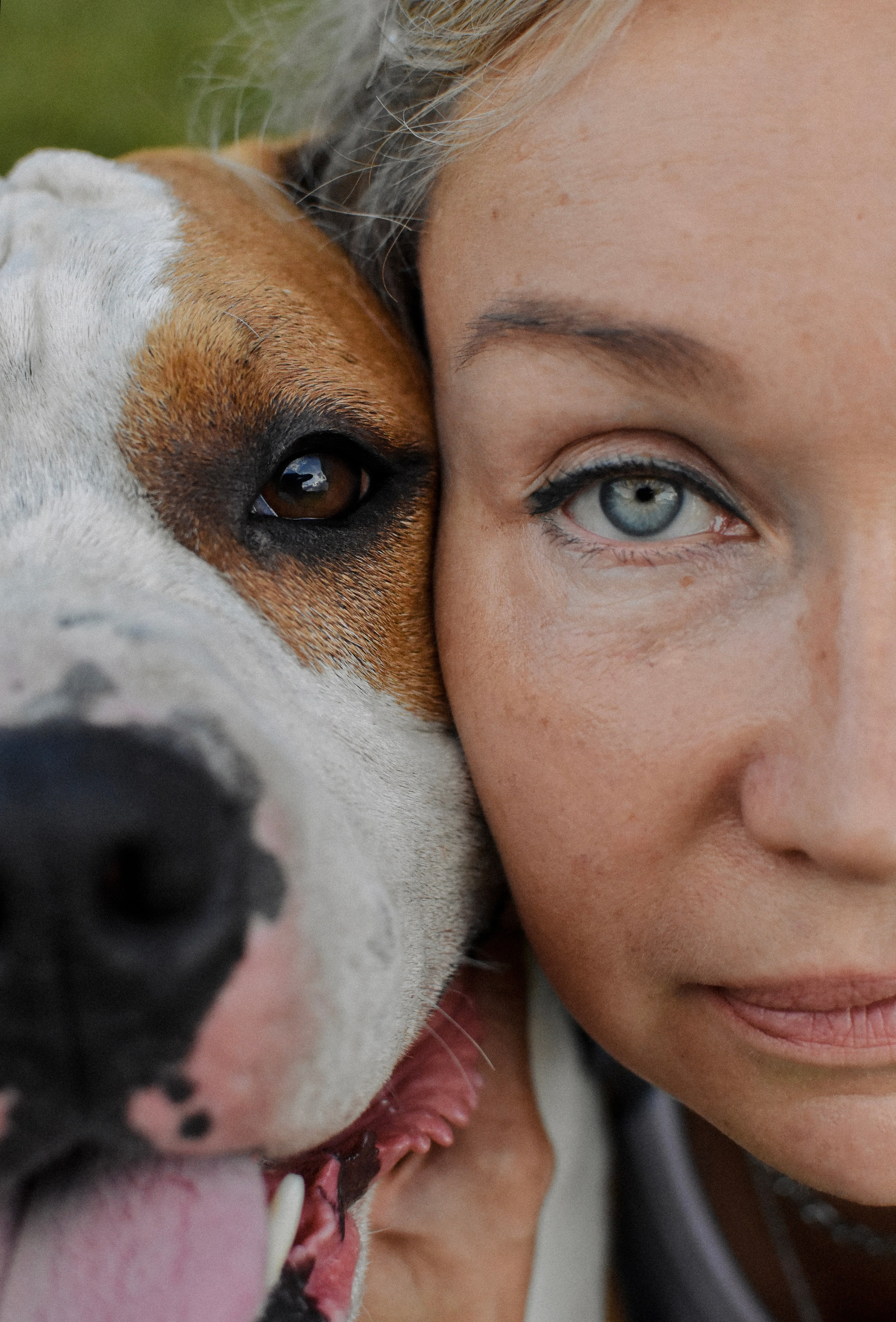 Стив, Стеша и Маша. Фотограф-анималист Ксения Шевцова|Москва