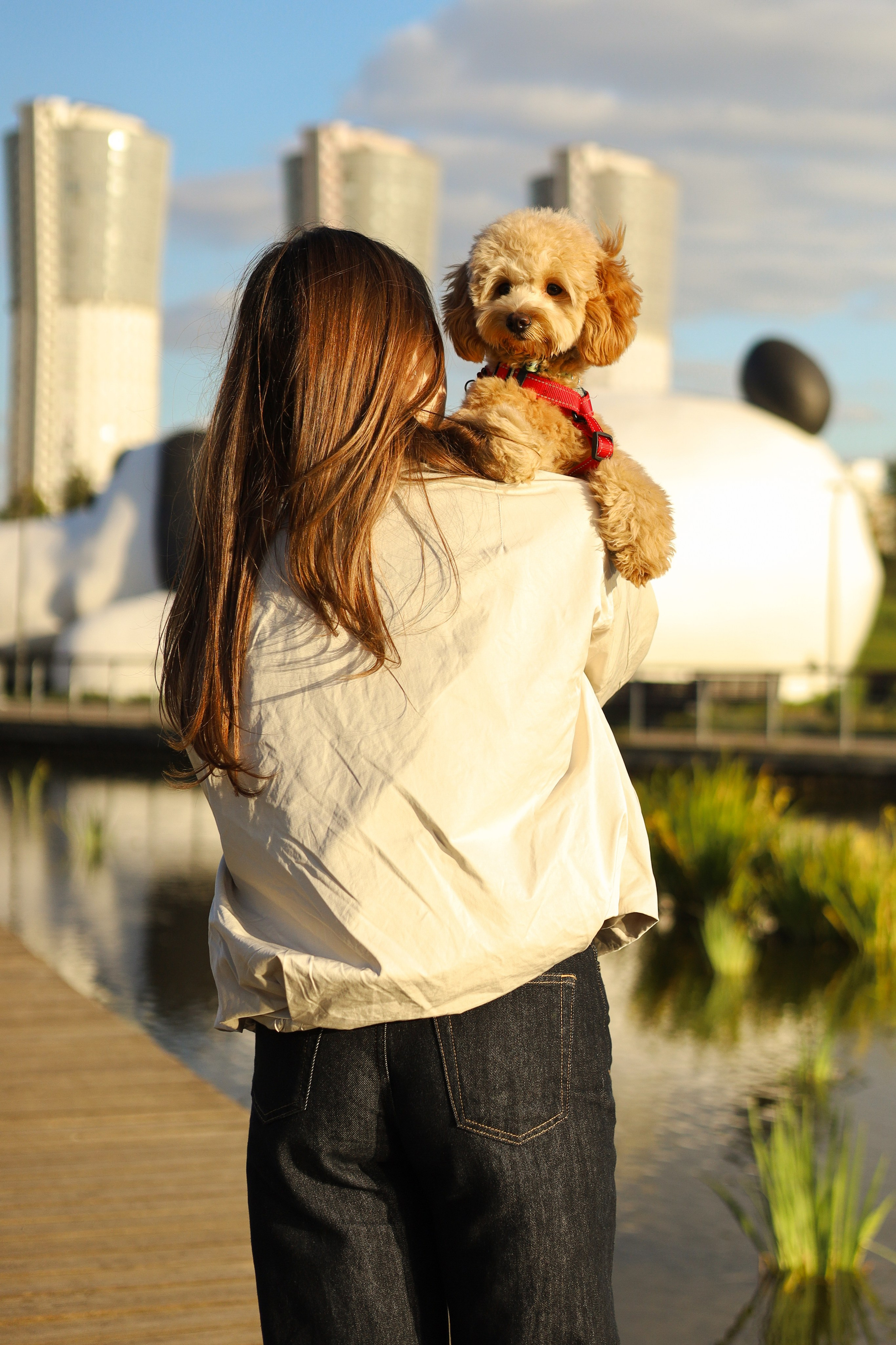 Поршик и Ксения. Фотограф-анималист Ксения Шевцова|Москва