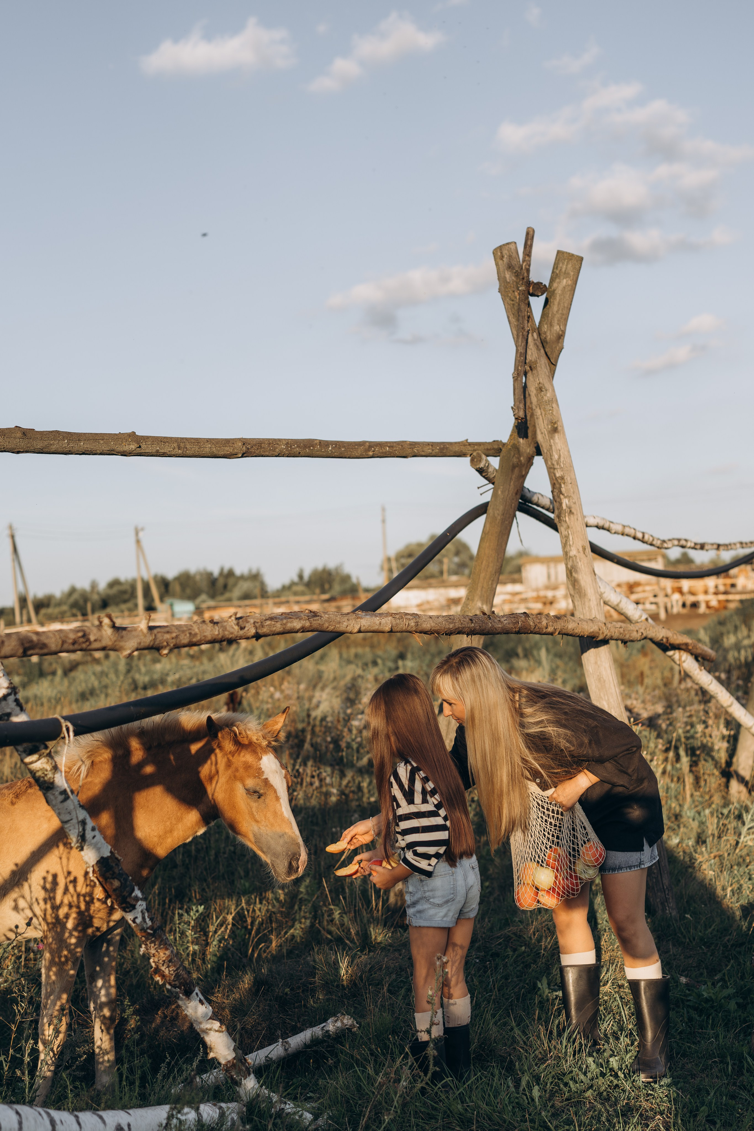 Детство, лошади, природа. Семейный фотограф Москва. Фотограф беременности и материнства Москва