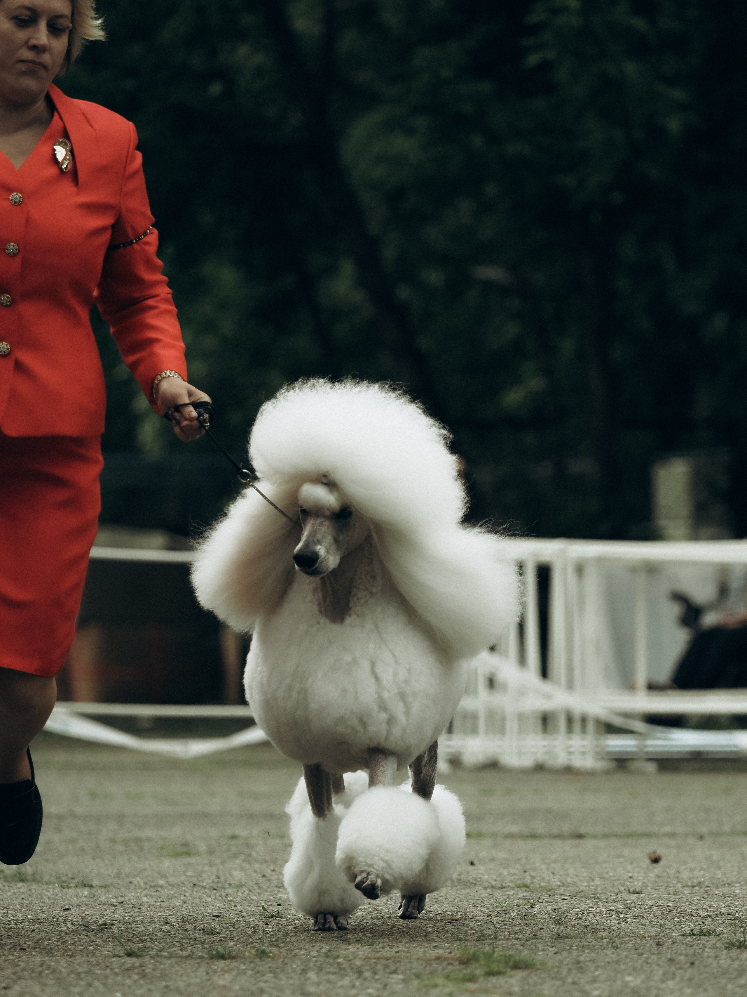 Фотограф анималист Тюгаева Мария