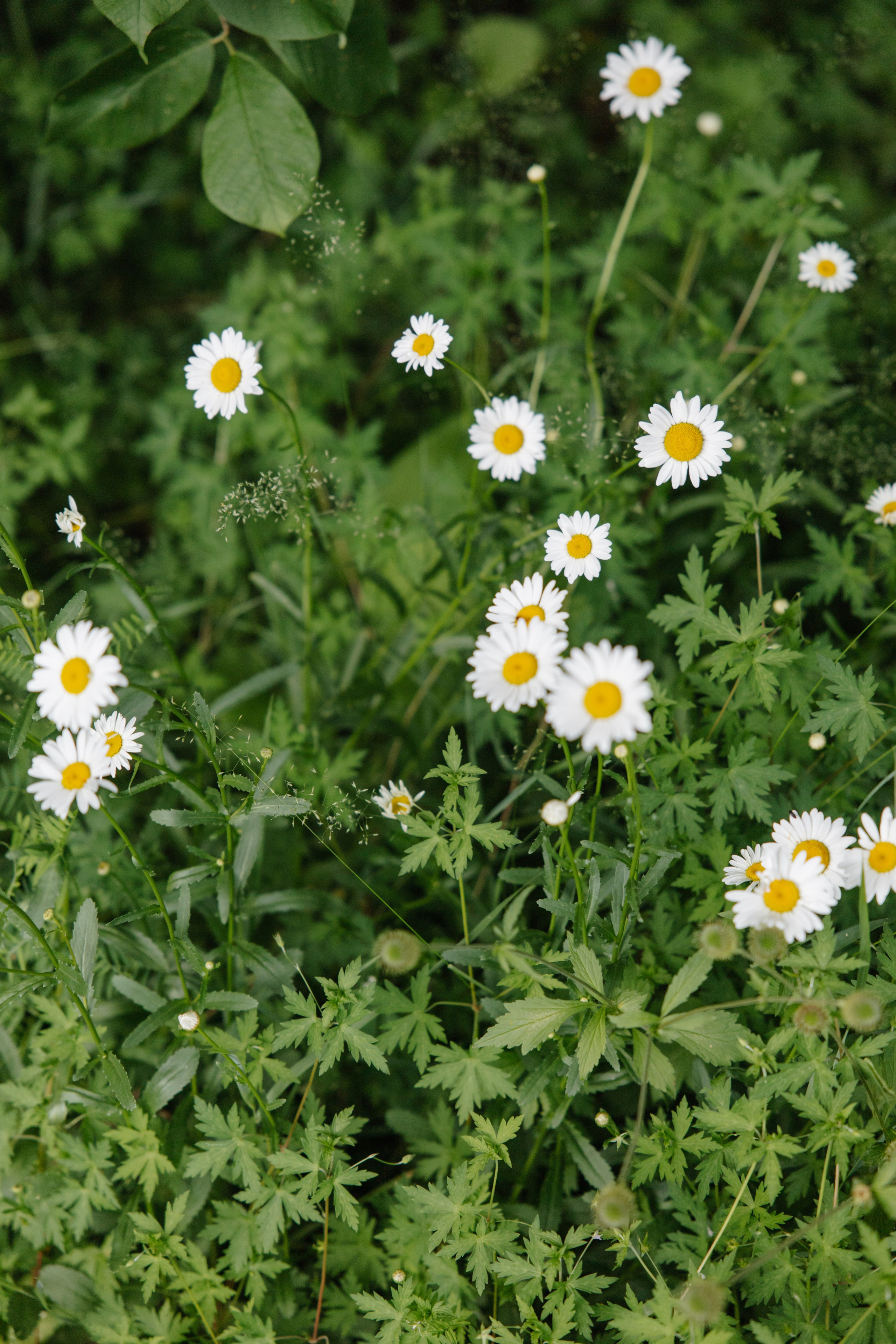 ГРЕНАДА. Фотограф в Красноярске