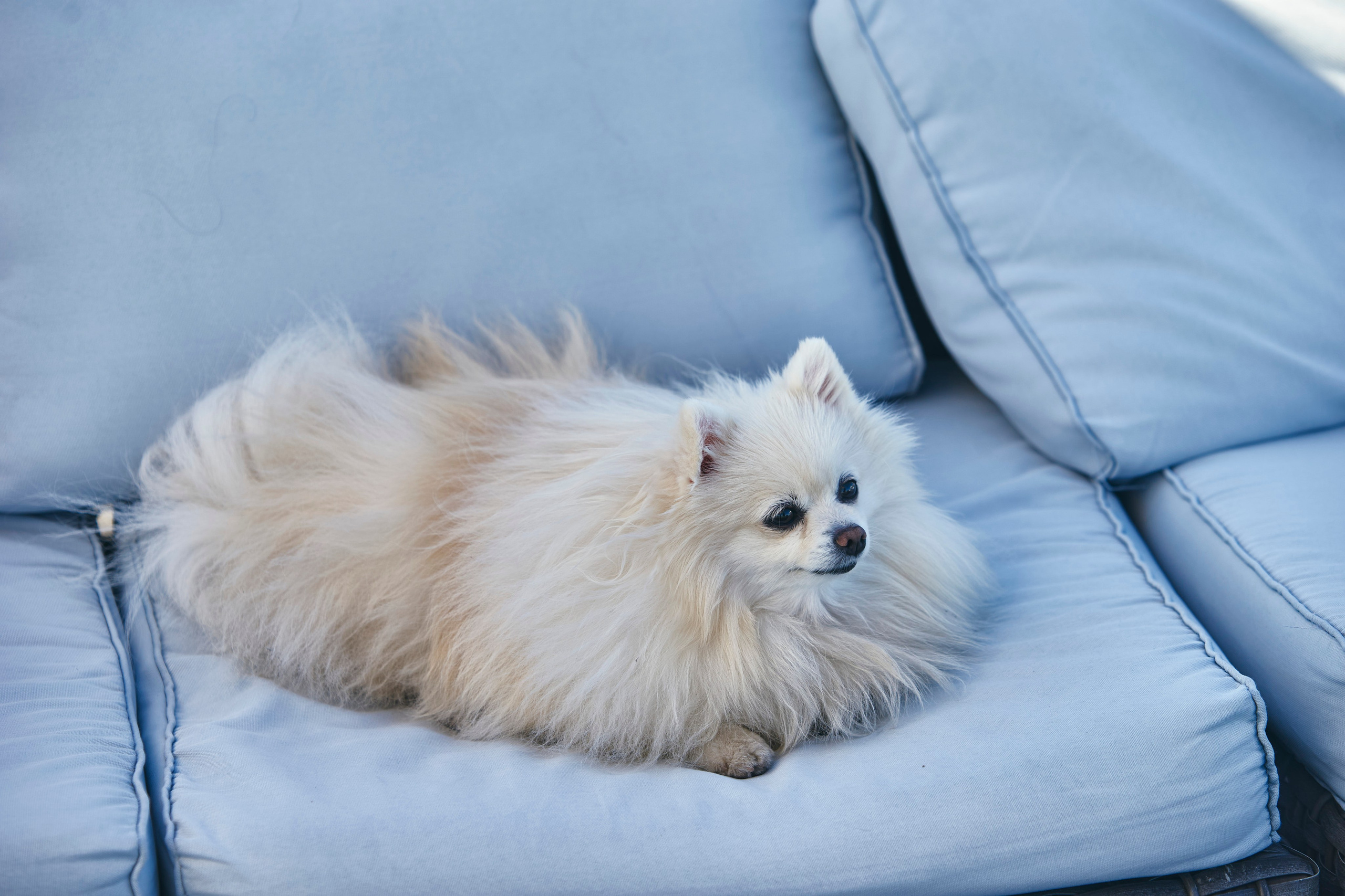 PETERGOF CUP2024. Фотограф Наталья Леонова