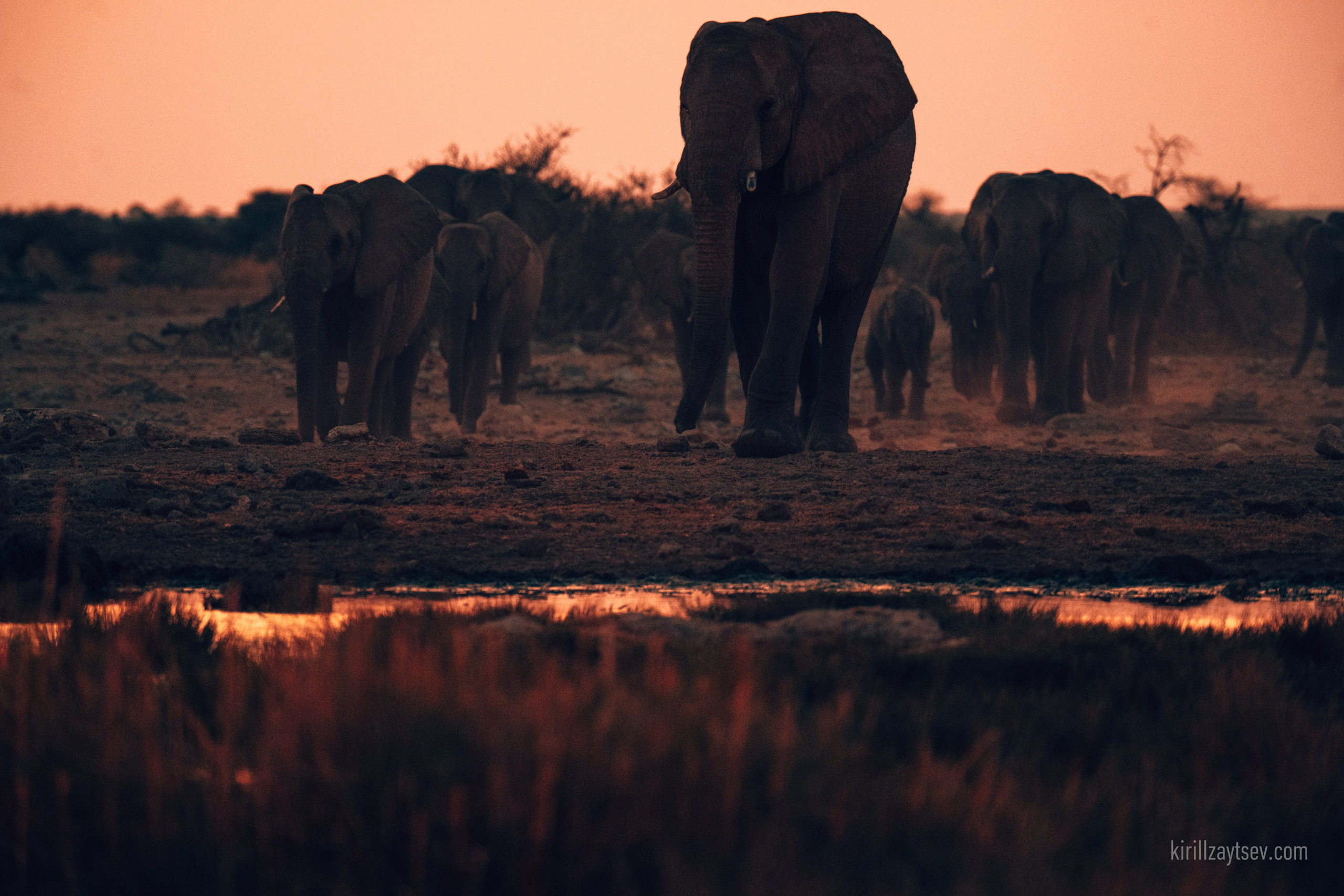Жизнь. Профессиональный фотограф Кирилл Зайцев
