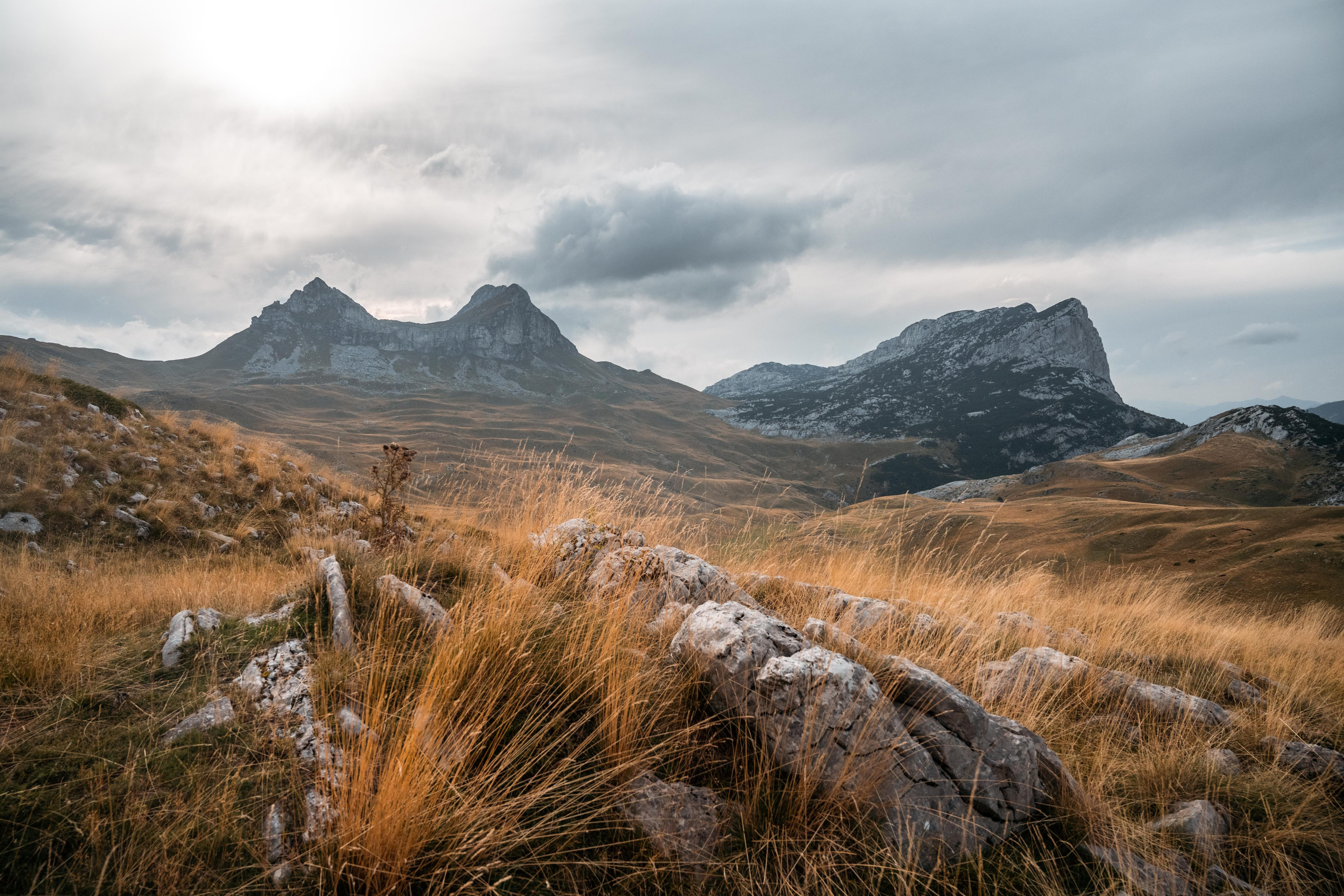 ПРУТАЖ. ЧЕРНОГОРИЯ. Фотограф в Белграде Чугреева Елена