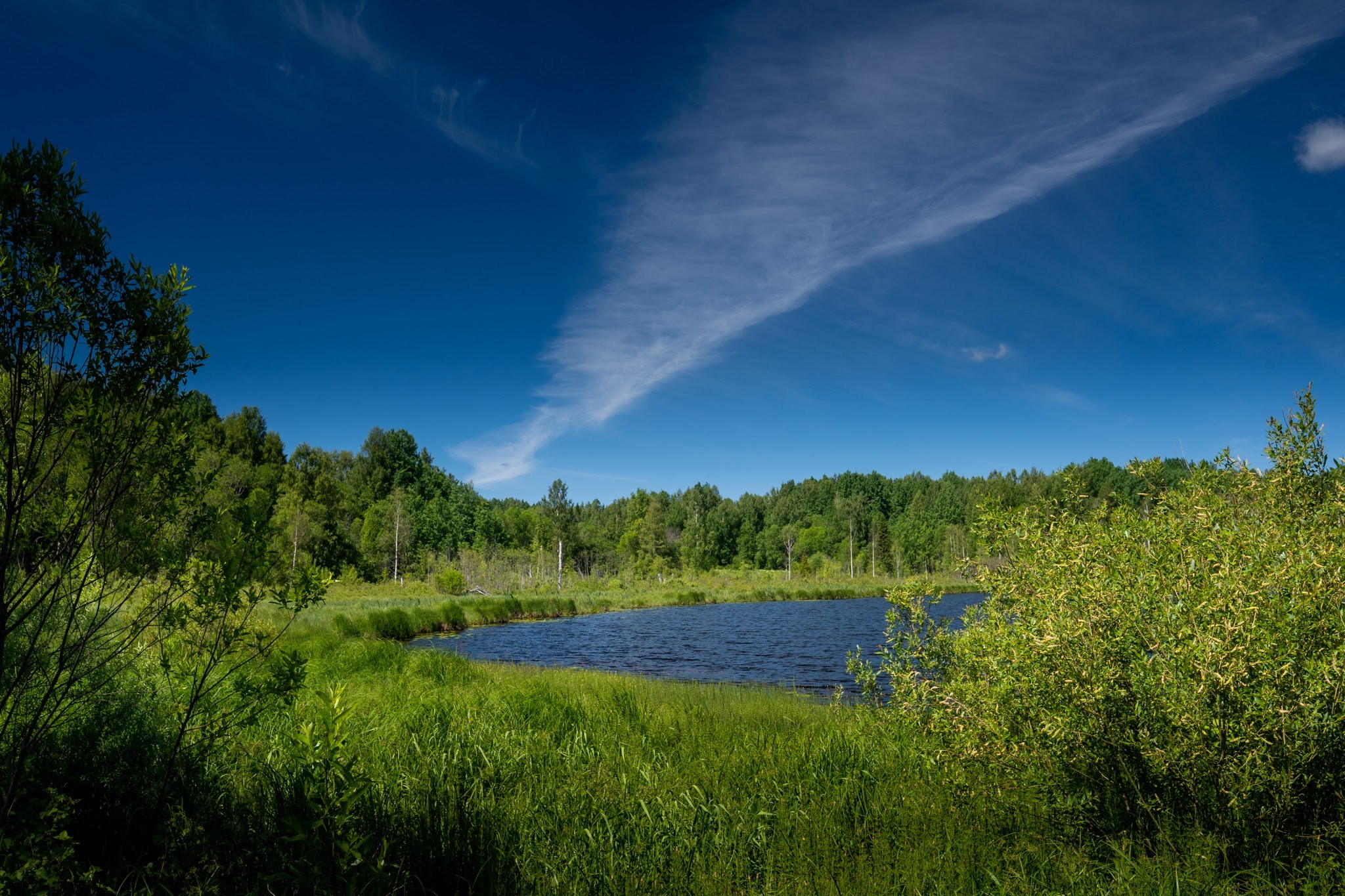 Кострома, Асташово, Восстановленный терем в псевдо- русском стиле. Фотограф Василий Буланов