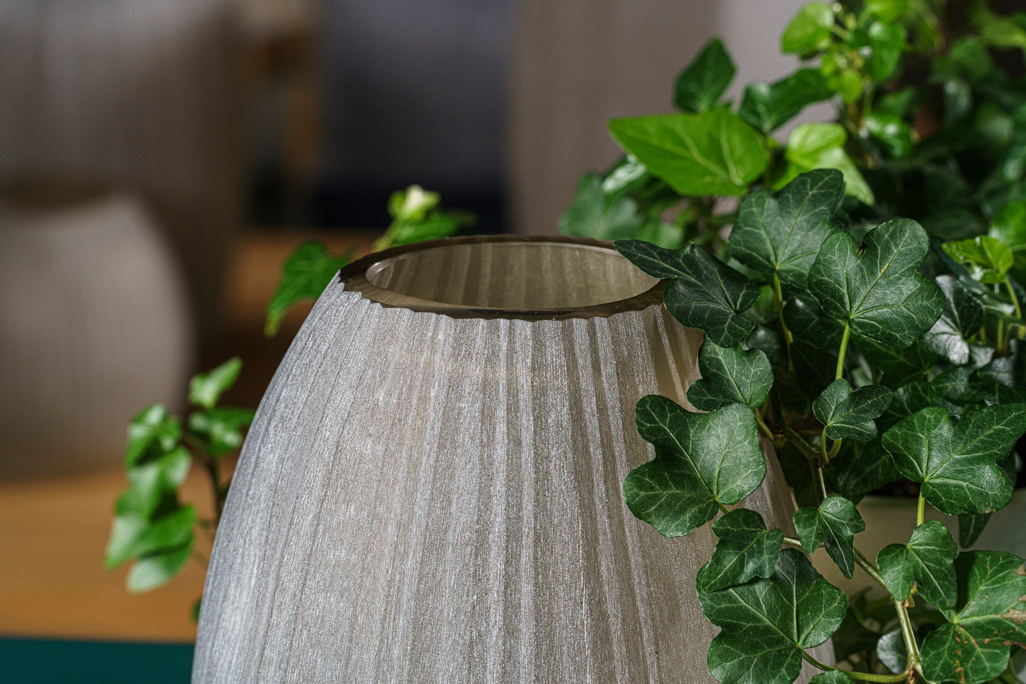 Трио Интерьер 2025 (пр-т Жукова). Фотограф Василий Буланов