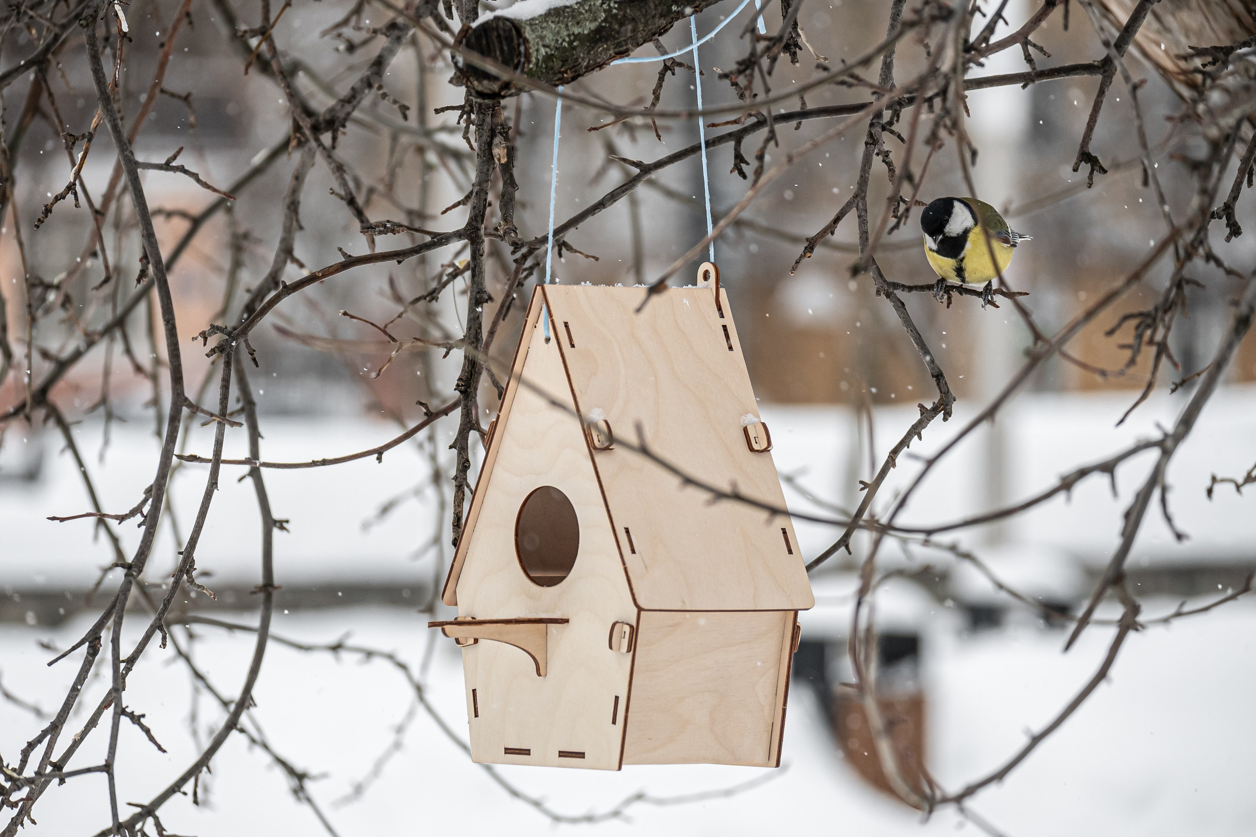 Снегопад. Репортажный фотограф
