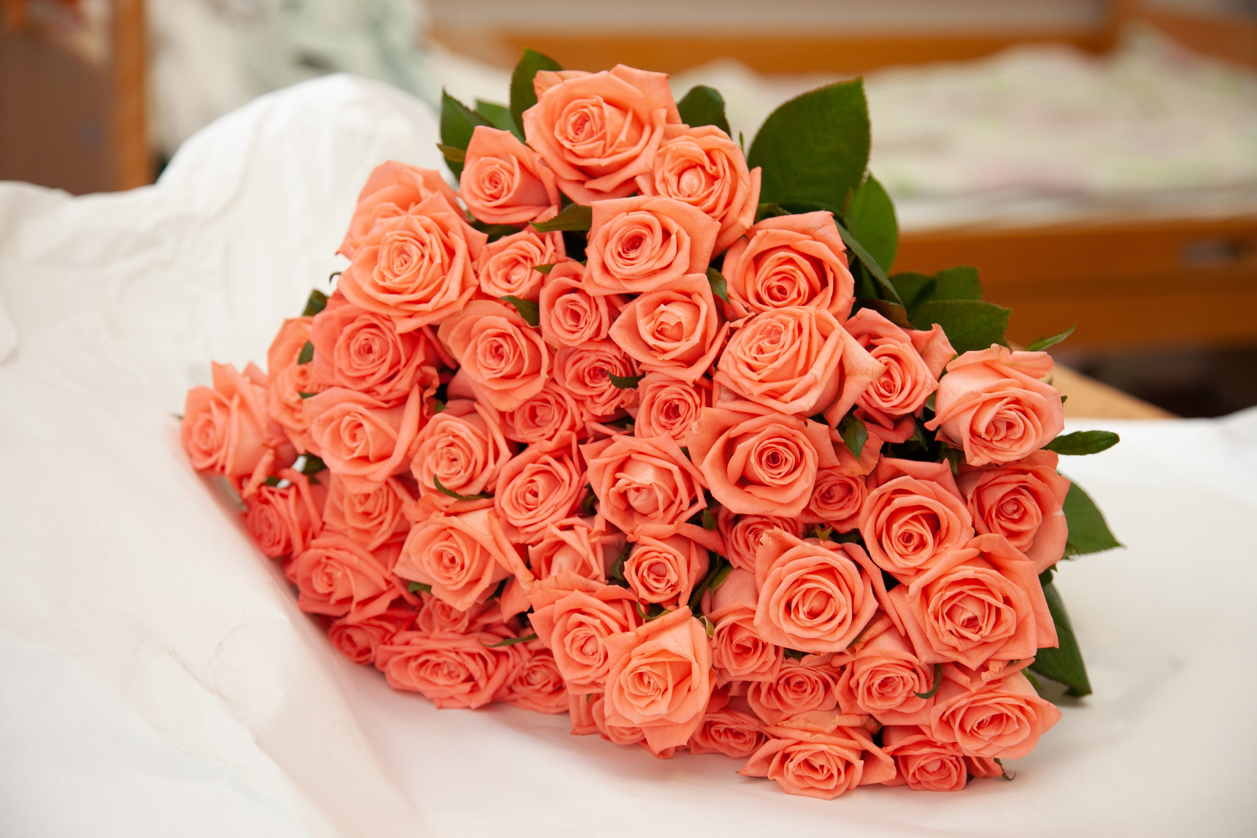 Выписка из роддома. Татьяна Нагорнова — семейный фотограф в Санкт-Петербурге