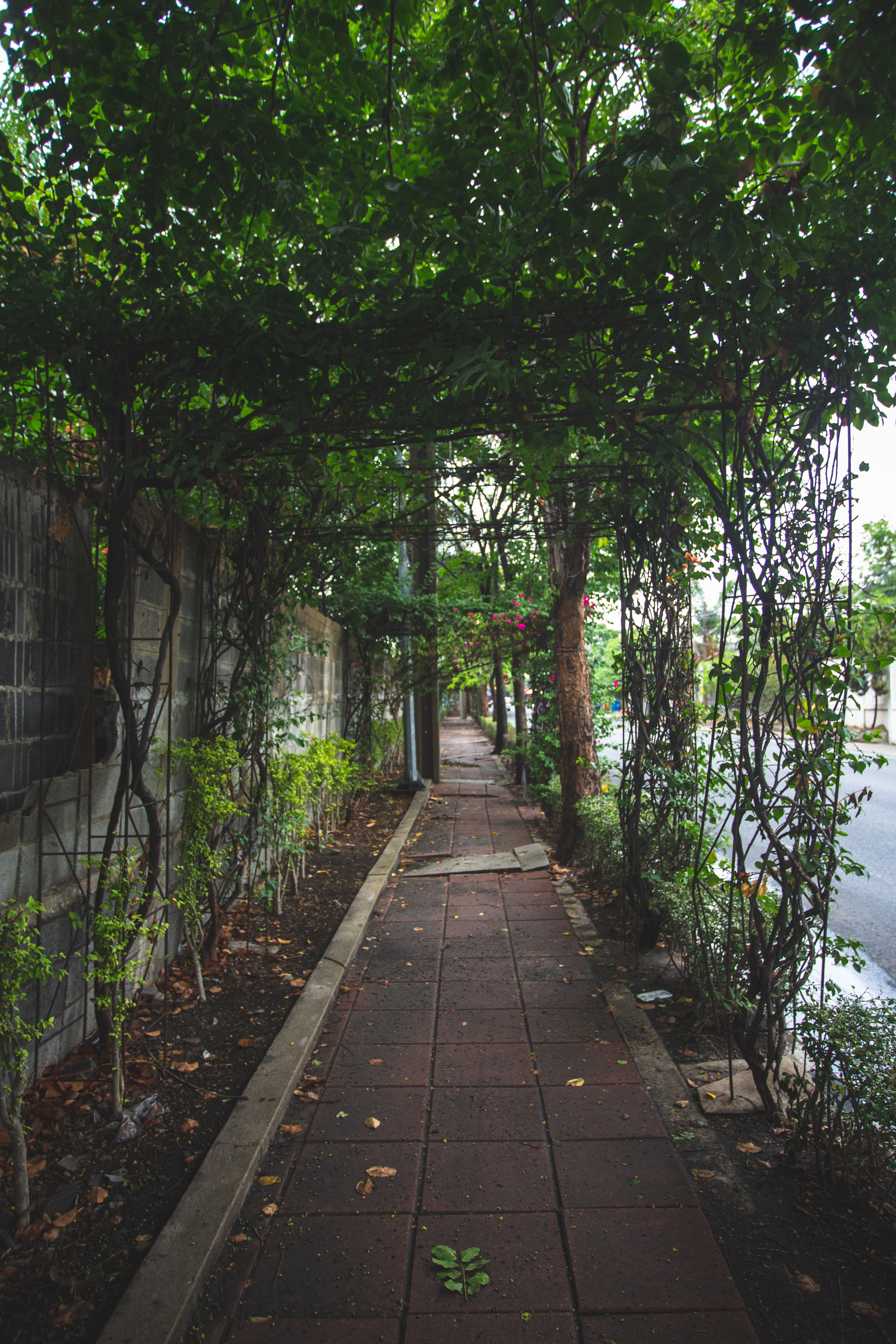 Samut Prakan. Фотограф Сонкина Татьяна