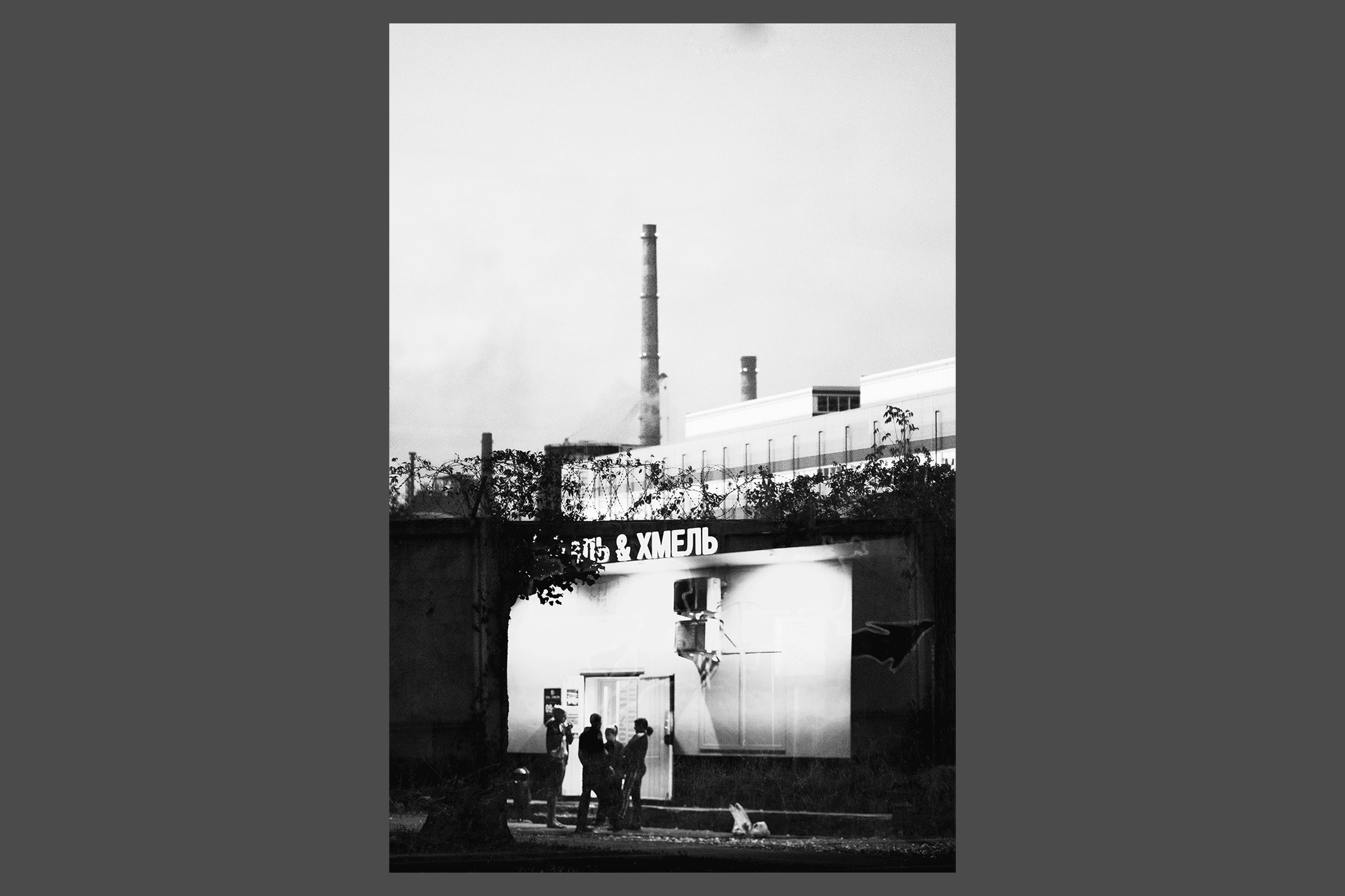 Дно. Фотограф Кузнецов Егор Санкт-Петербург