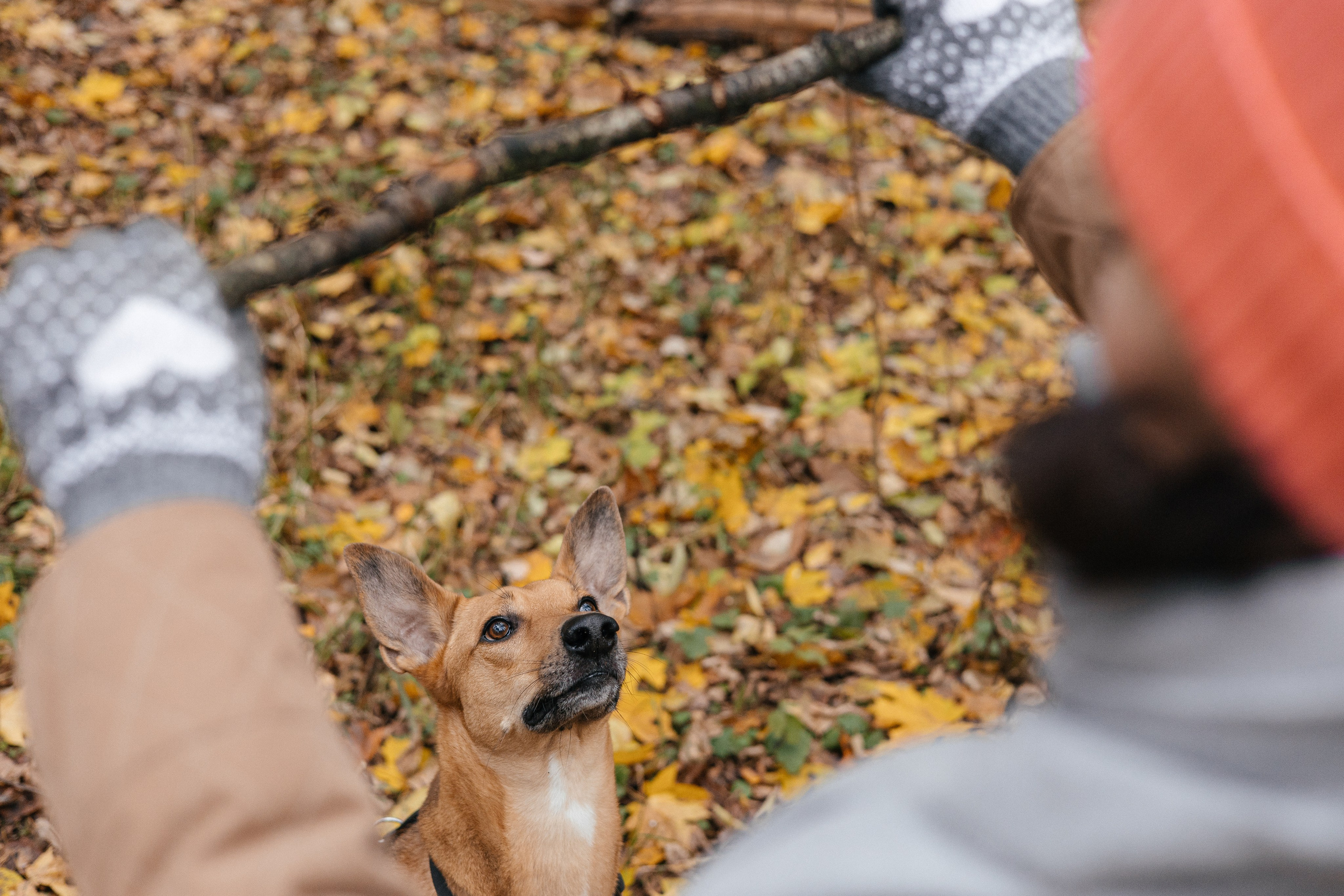 Нелли, Лёша, Рэй и Норд. Фотограф Анна Луценко Москва