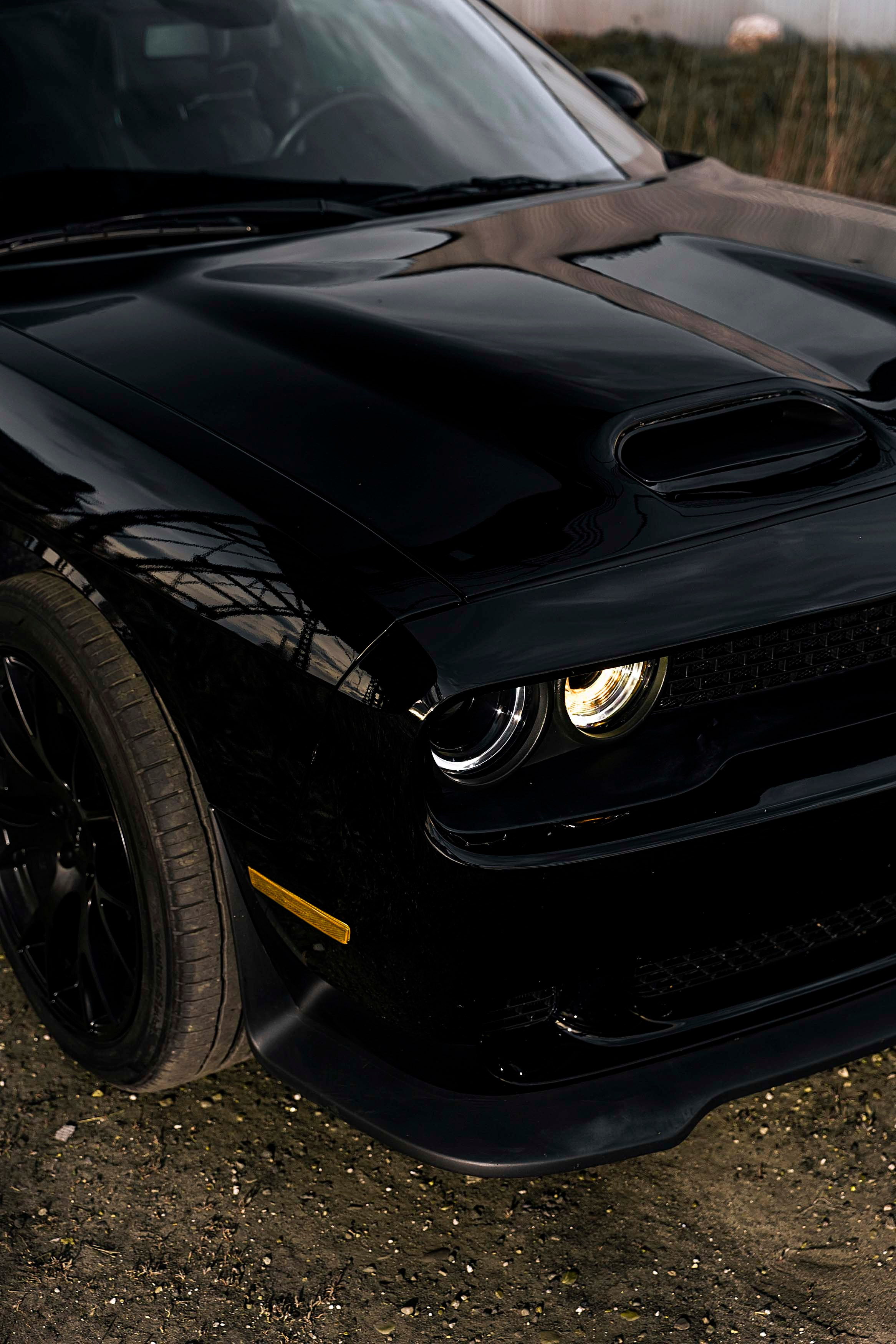 Dodge Challenger. Фотограф Казань