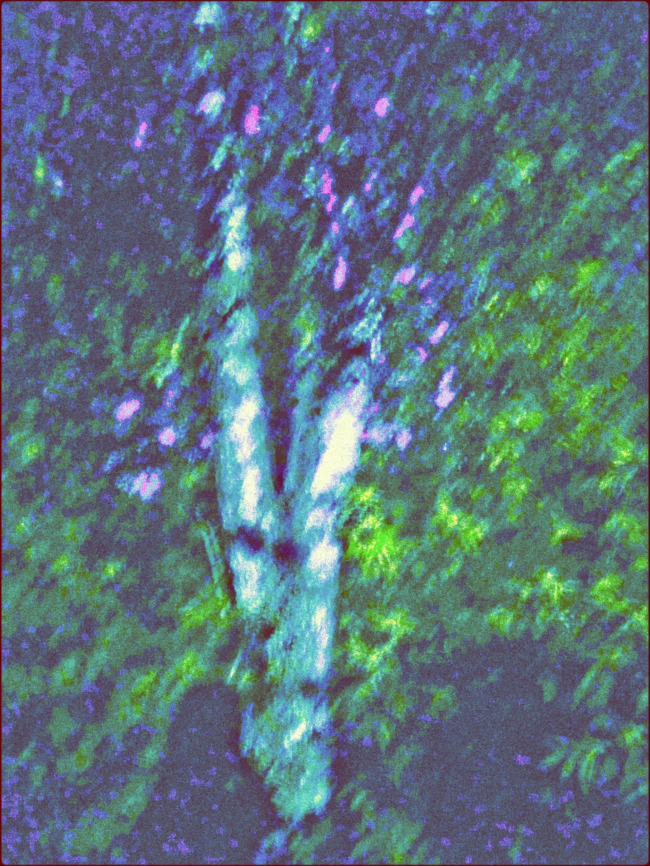 Malamoonki. Катерина Малама арт-фотограф