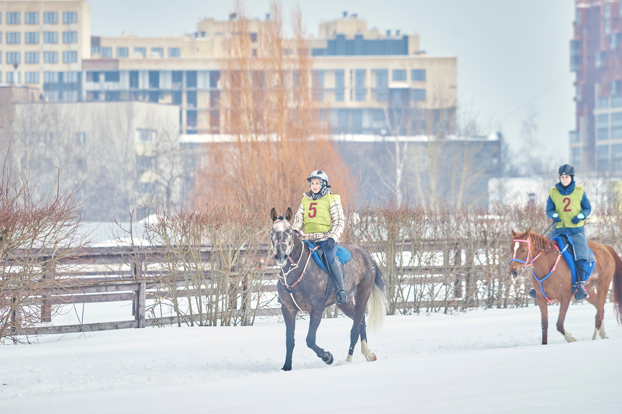 HORSE RACING. Фотограф Наталья Леонова