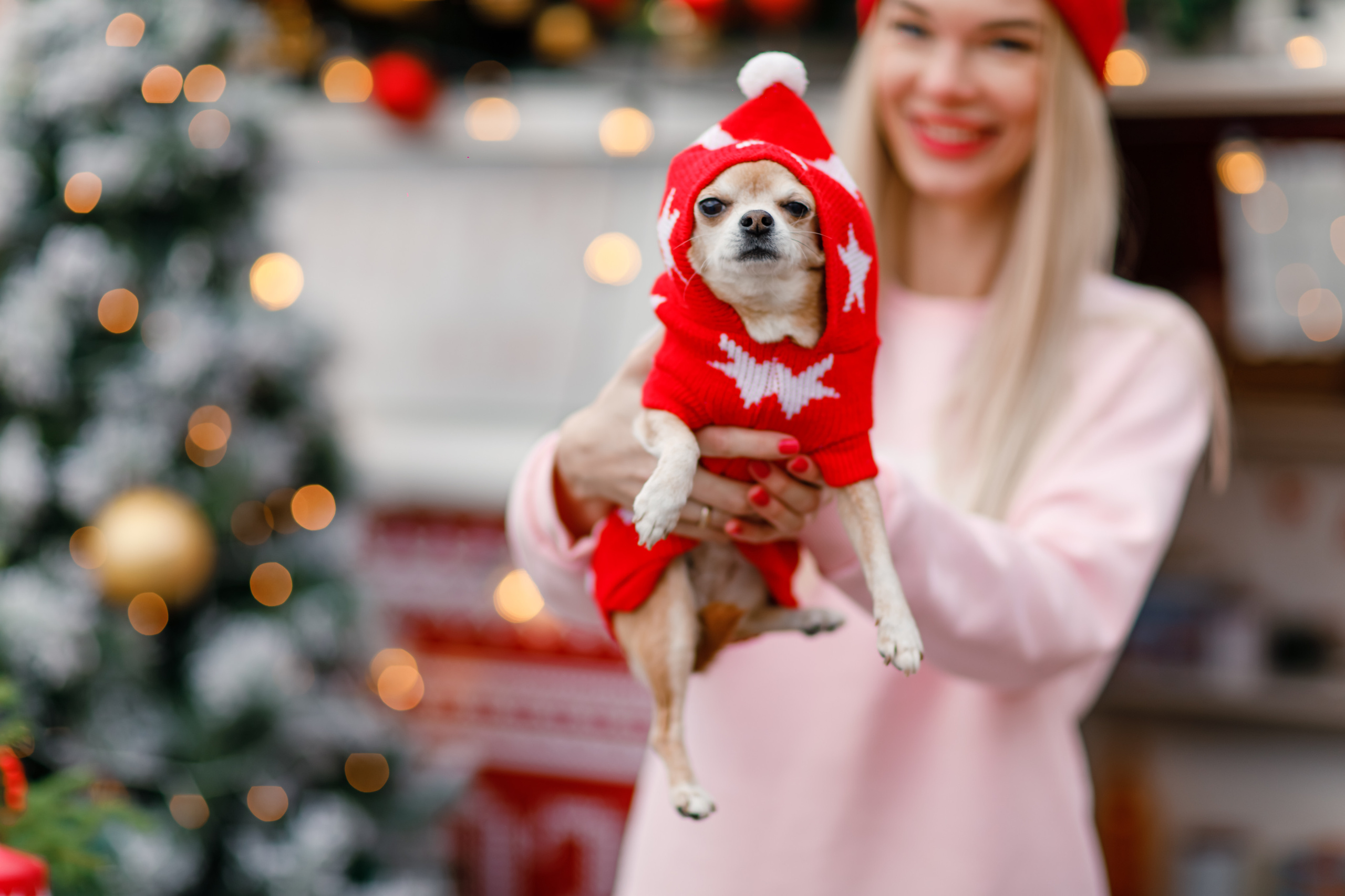 Новогодние фотосессии. Krumstudio фото, видео по Москве и МО