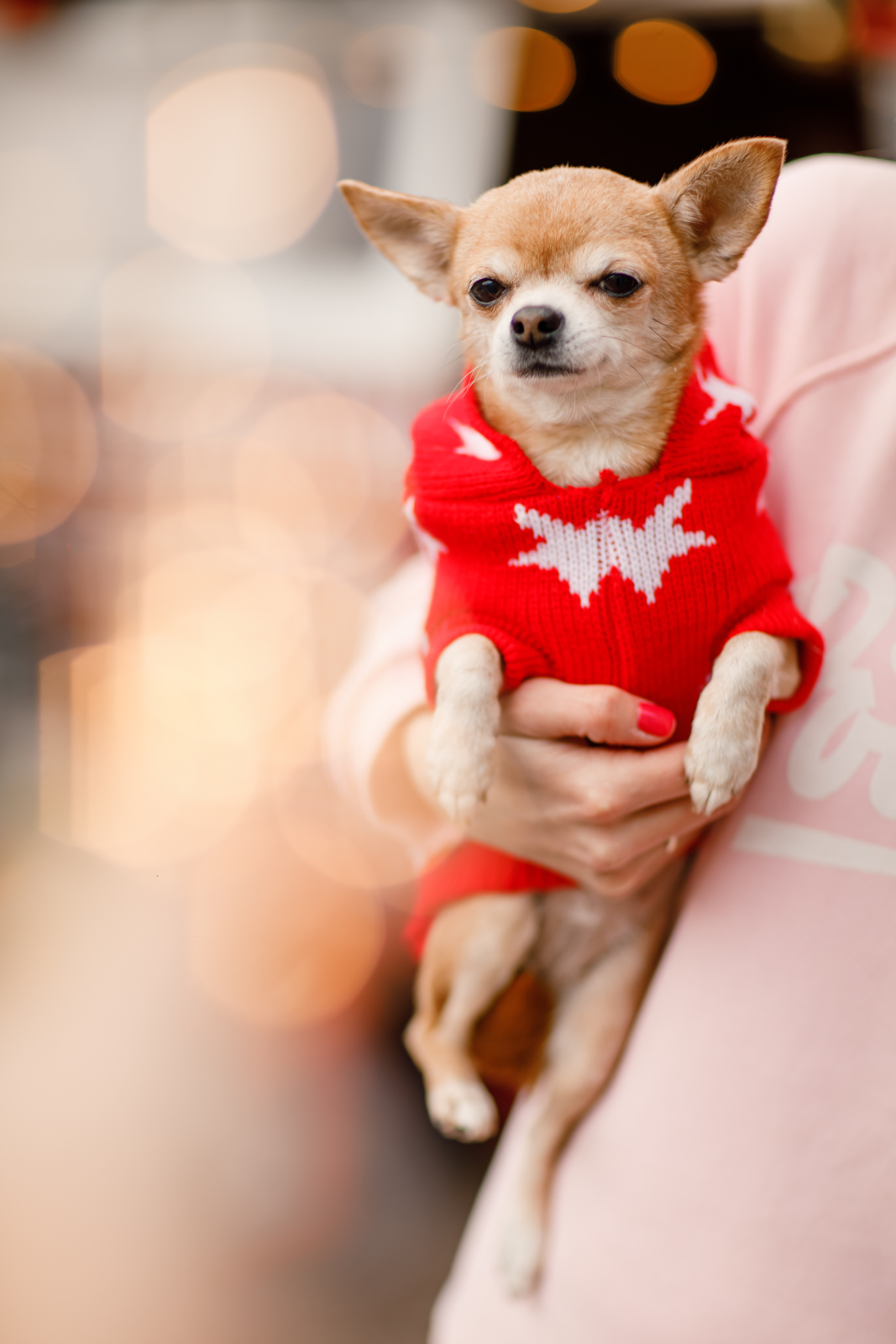 Новогодние фотосессии. Krumstudio фото, видео по Москве и МО