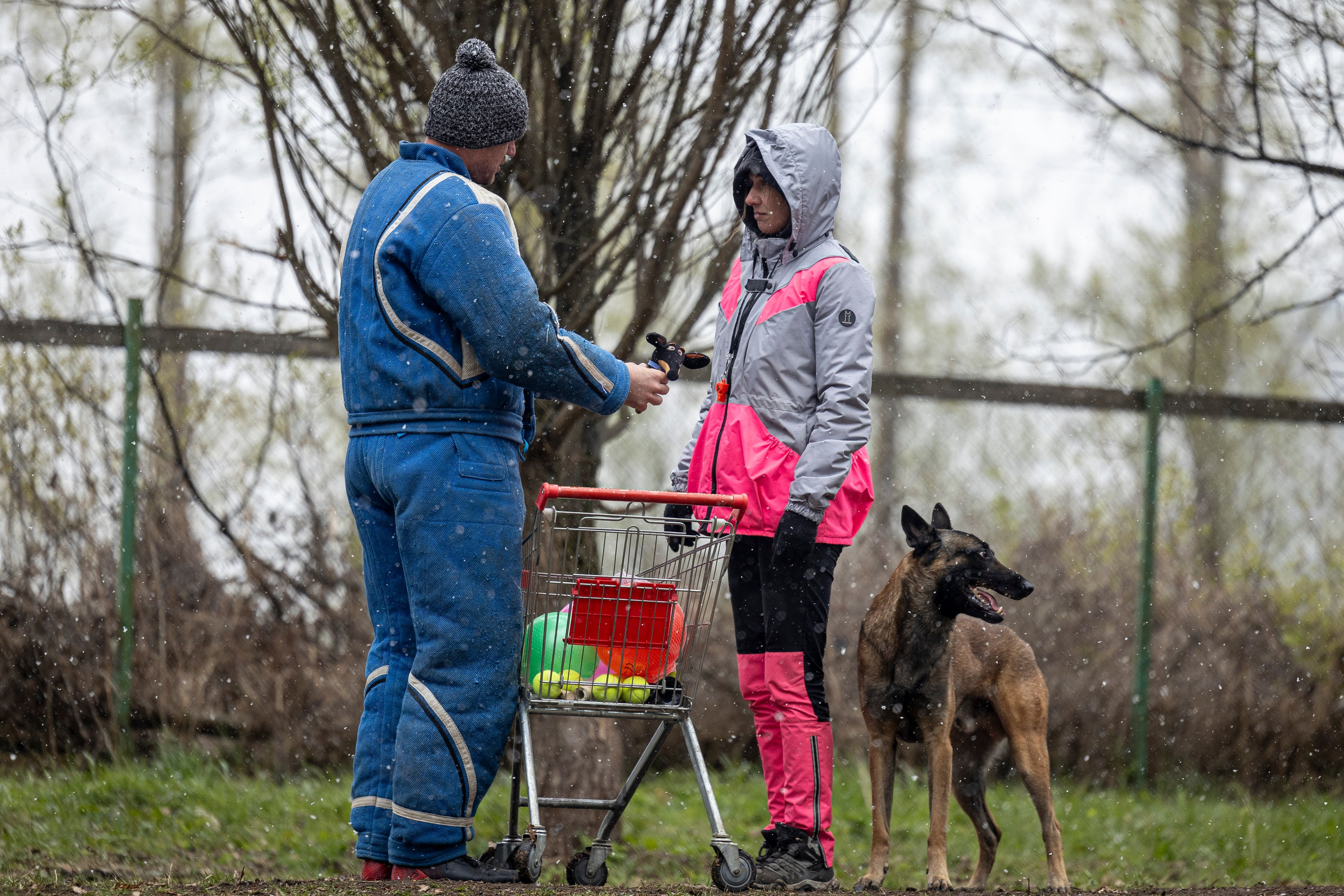 Квалификационные состязания по мондьорингу г. Вологда 11.05.24. Фотограф-анималист Анна Маринич