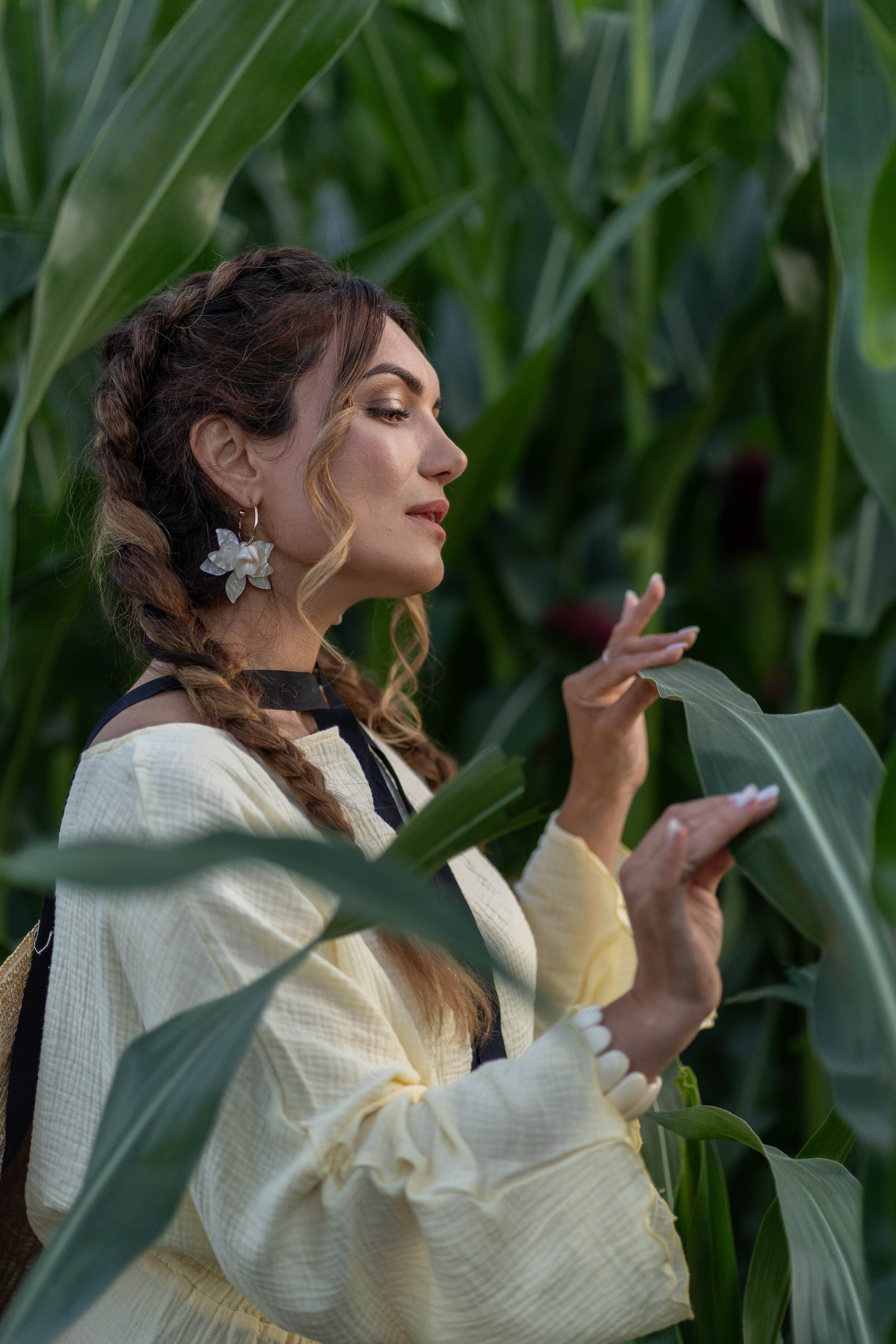 Кукурузное поле. Главная