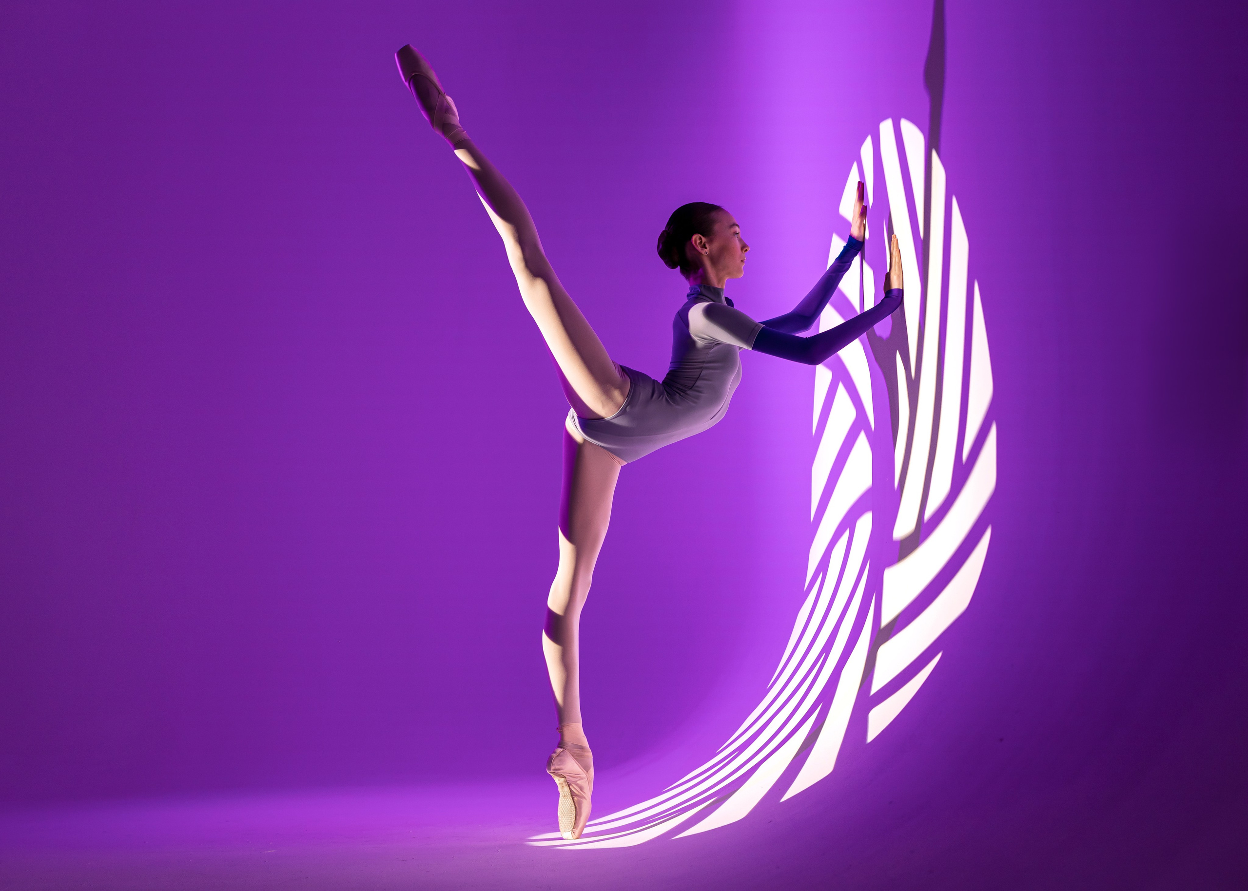 Купальник «Реглан» Zidans напрокат бесплатно. Балетный фотограф Алина Ханько — Душа Балета