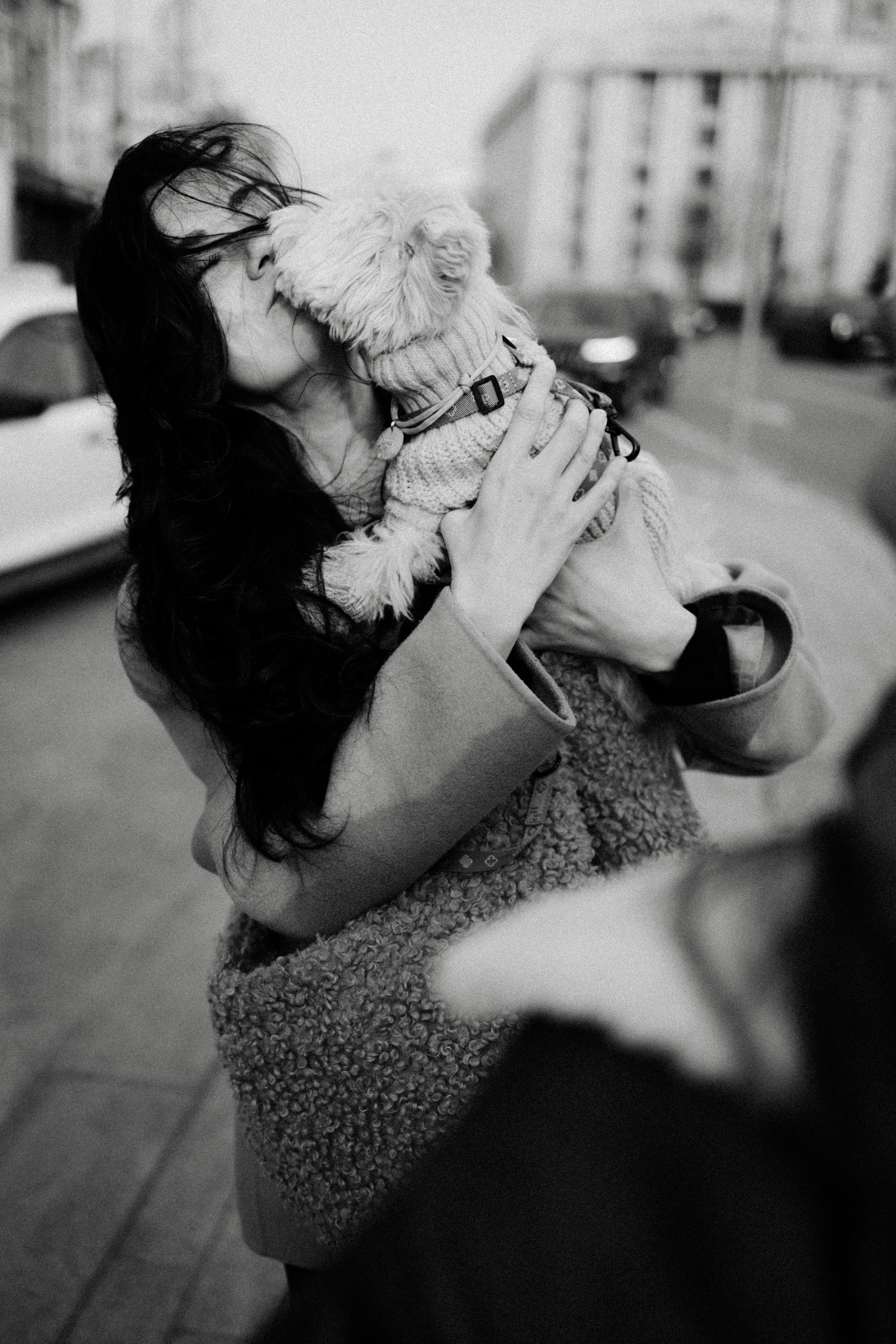 Маша, Лиза и Луна. Фотораф — анималист Мария Шистка