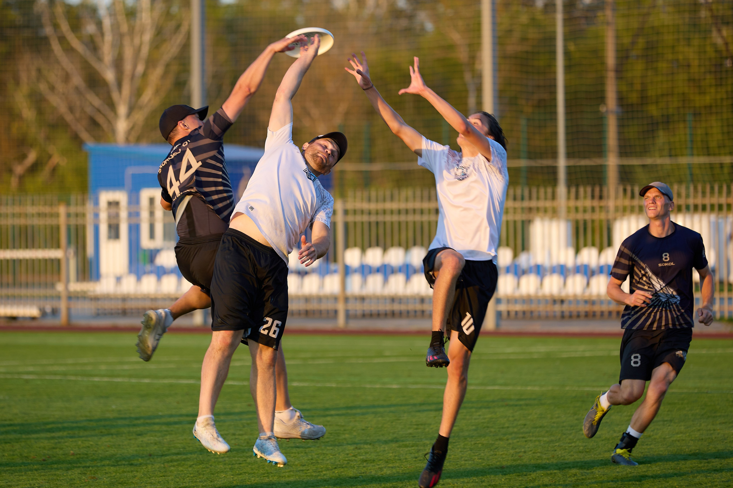 Алтимат. Чемпионат России по фрисби. Светлана Родионова — фотограф спортивный и не только